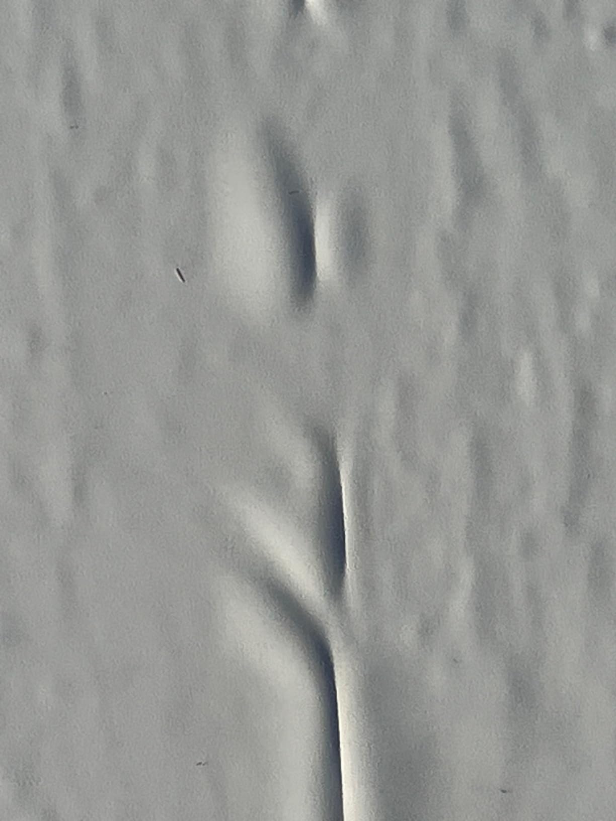 RecPro Extreme Duty RV Slideout Rubber Roof | 8.5' or 4' Option | RV Slideout Roof Repair | Camper Roof Repair | RV Roofing | PVC Rubber Roof | by The Foot (4' W x 15') | Made in USA customer photo 1