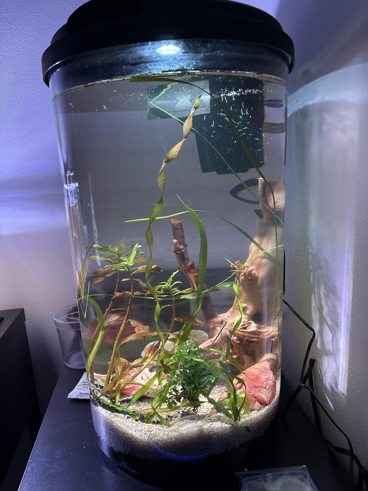 Koller Products Plastic 6-Gallon AquaView 360 Aquarium Kit for Tropical Fish, Betta Fish with LED Lighting and Power Filter Clear, 4-Piece Set customer photo 1