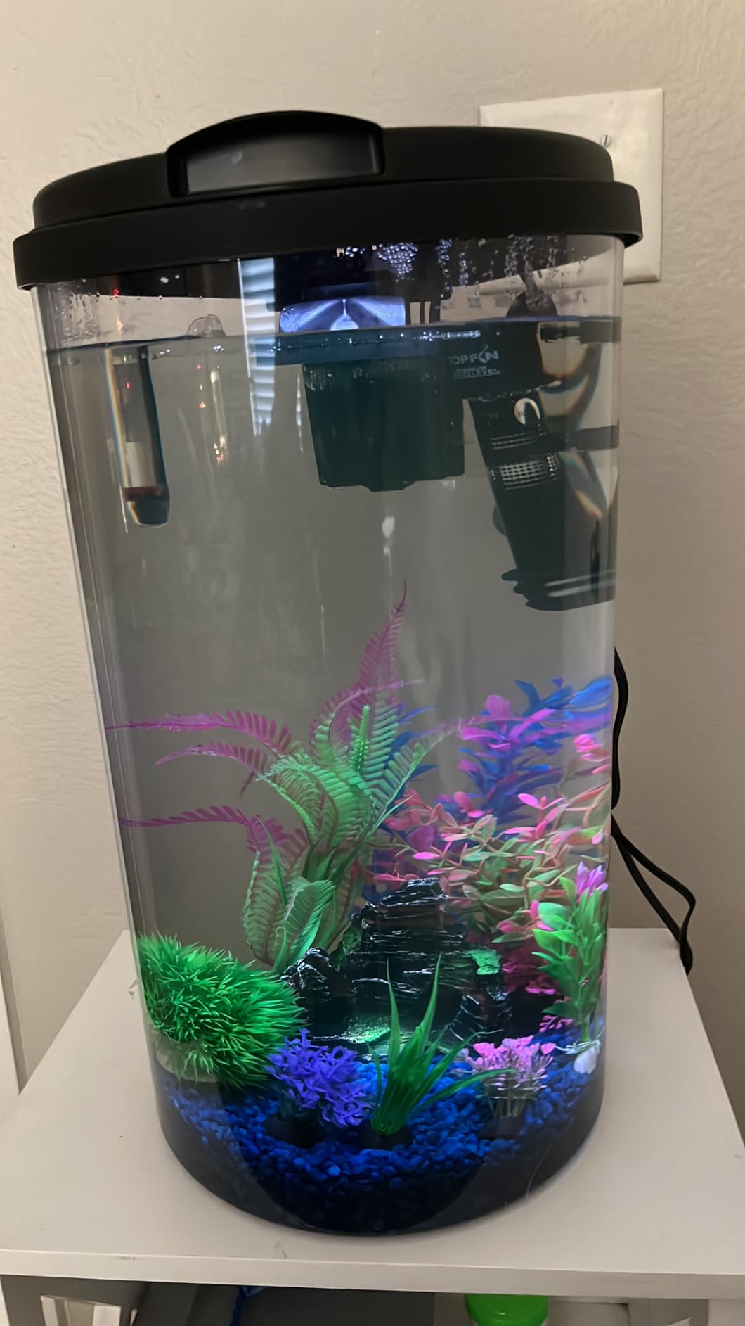 Koller Products Plastic 6-Gallon AquaView 360 Aquarium Kit for Tropical Fish, Betta Fish with LED Lighting and Power Filter Clear, 4-Piece Set customer photo 2