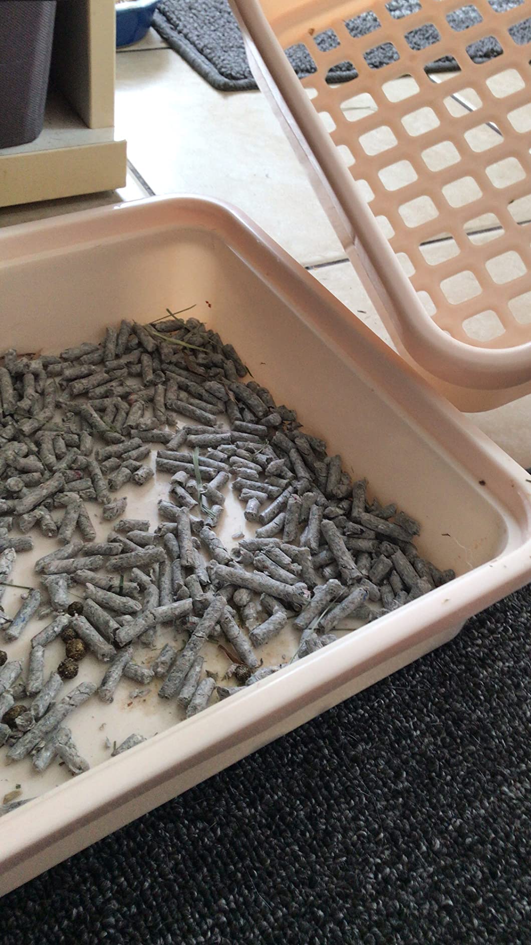 HoppScotch.bun Bumbox Large Rabbit Litter Box, 15.75