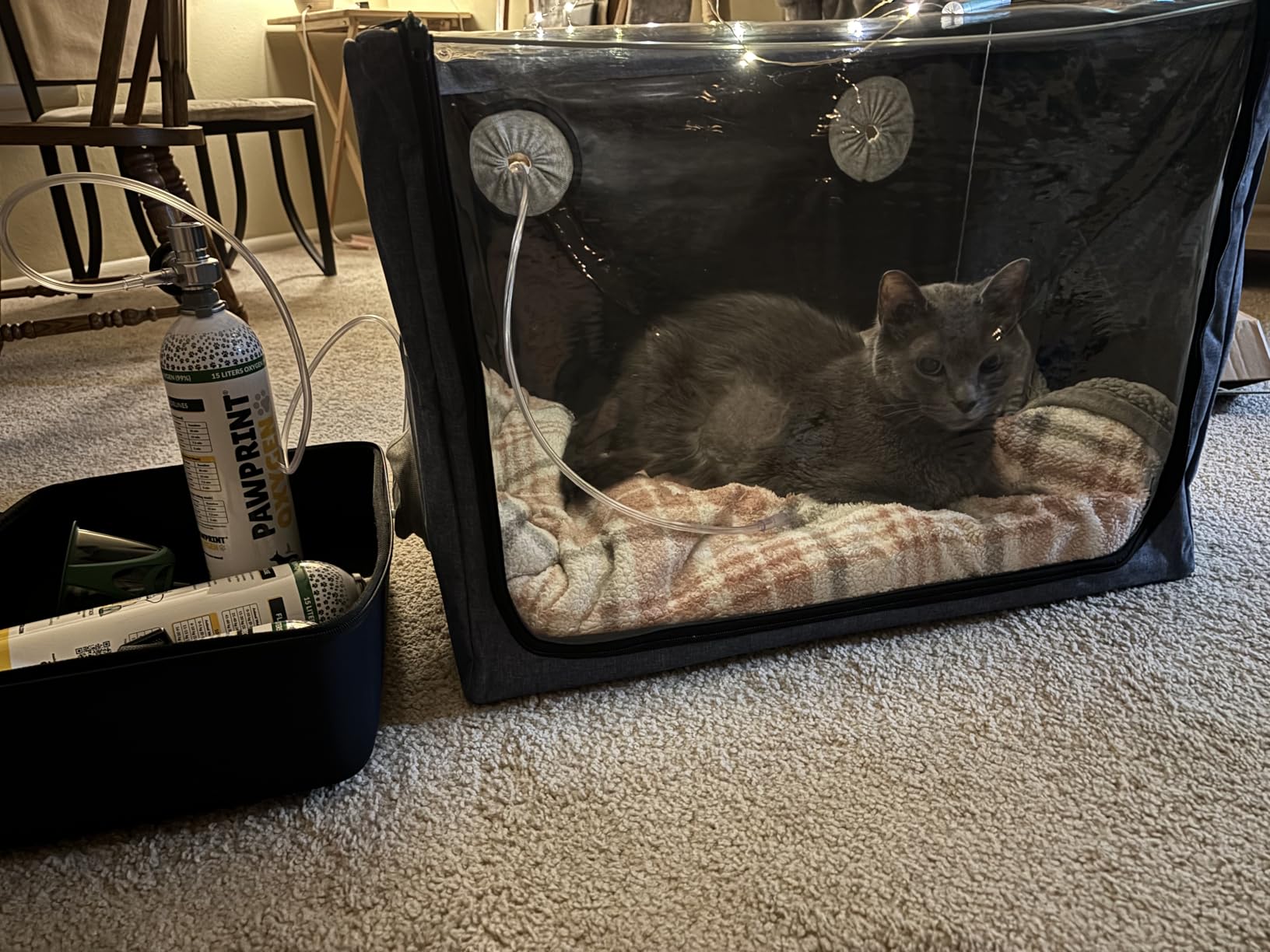 Pet Atomization Nest,Cat and Dog Atomization Box Oxygen Inhalation Machine Dedicated Folding Atomization Box,Small Pet Oxygen Inhalation Box ICU Cage-Grey 24 in customer photo 2