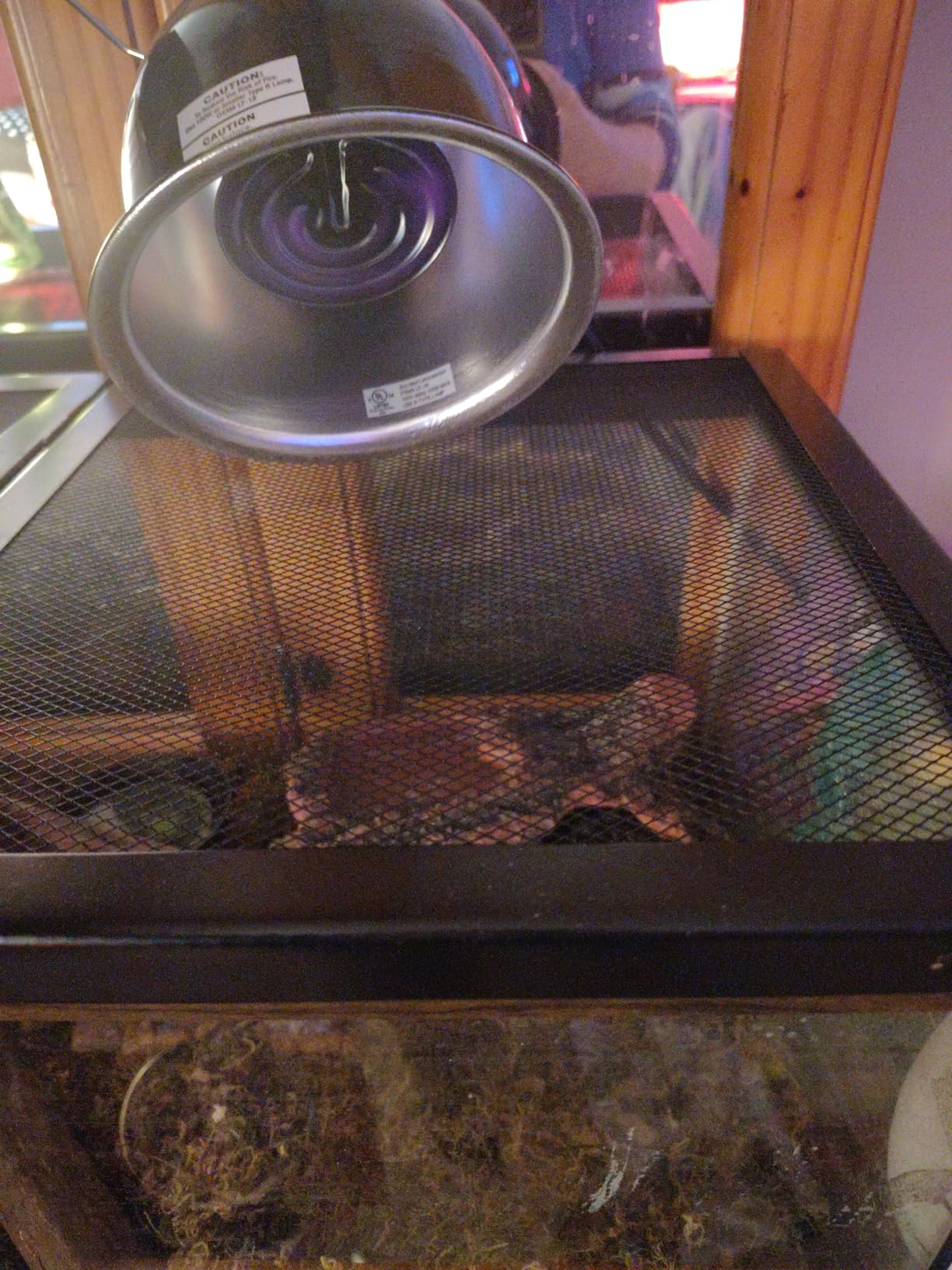 LUCKY HERP 150W Ceramic Heat Emitter, Reptile Heat Bulbs, Ceramic Heat Lamp for Reptiles, Amphibian, Chicken, Dog, Cat (2-Pack) customer photo 1