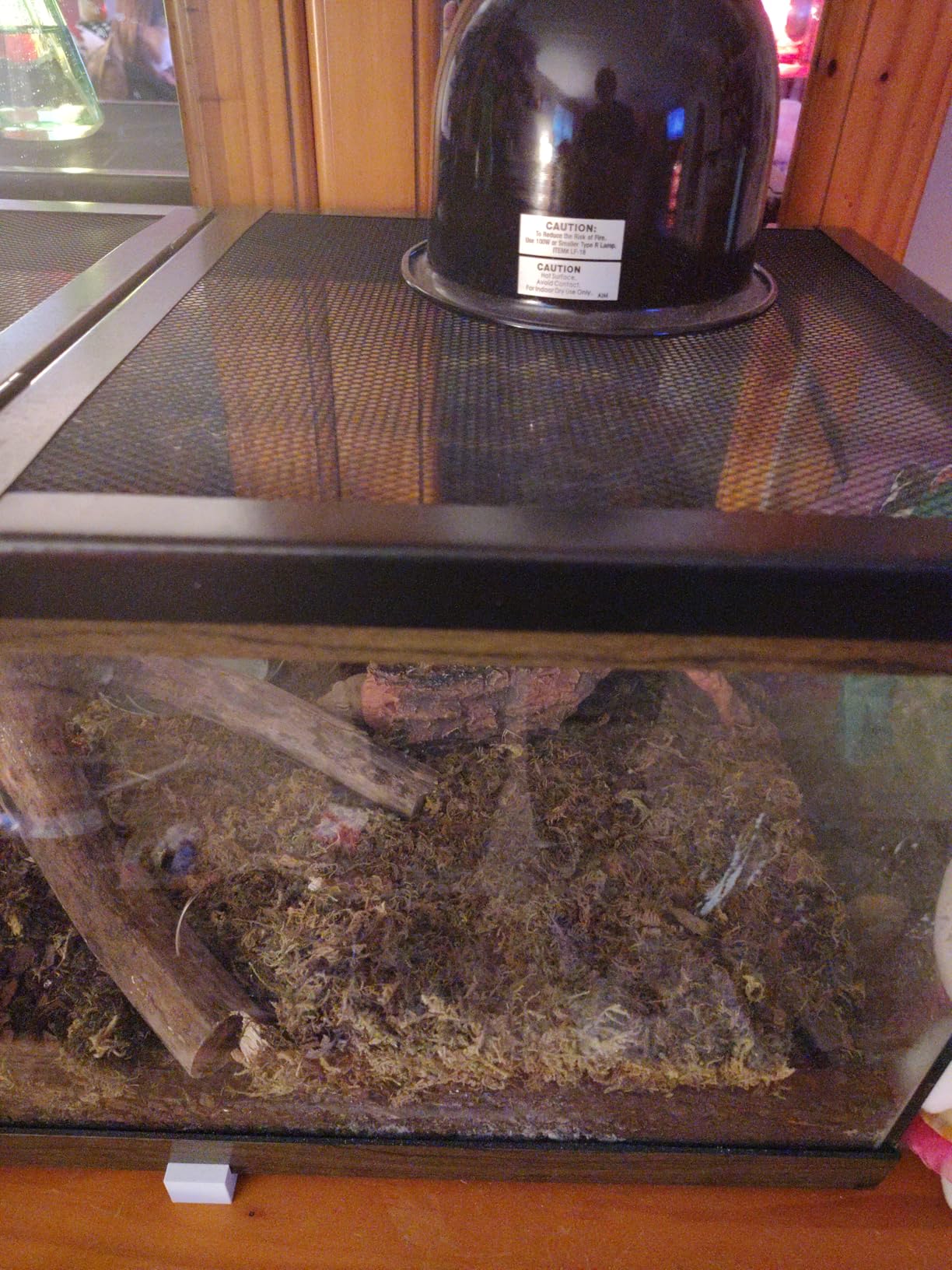 LUCKY HERP 150W Ceramic Heat Emitter, Reptile Heat Bulbs, Ceramic Heat Lamp for Reptiles, Amphibian, Chicken, Dog, Cat (2-Pack) customer photo 2