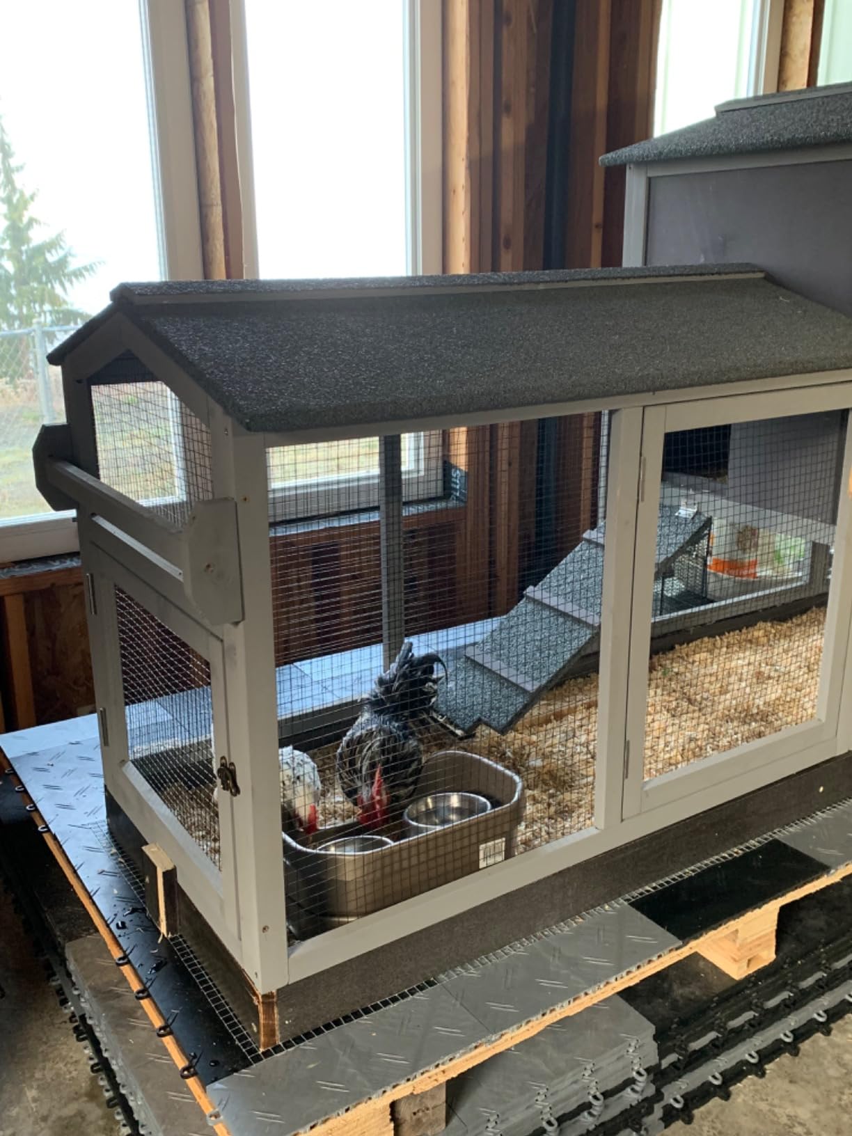 Aivituvin 83in Chicken Coop Mobile Hen House Outdoor Wooden Poultry Cage with Wheels Nesting Box Run for 4-6 Chickens customer photo 1