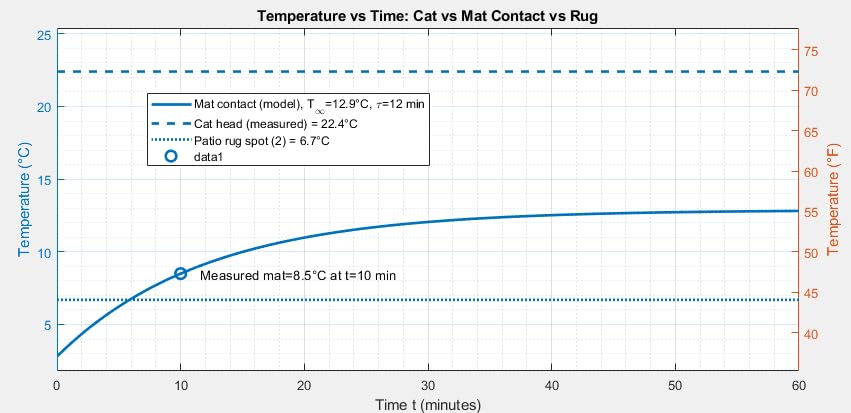 Self Warming Cat Bed Self Heating Cat Dog Mat 24 x 18 inch Extra Warm Thermal Pet Pad for Indoor Outdoor Pets with Removable Cover Non-Slip Bottom Washable Non Electric customer photo 1