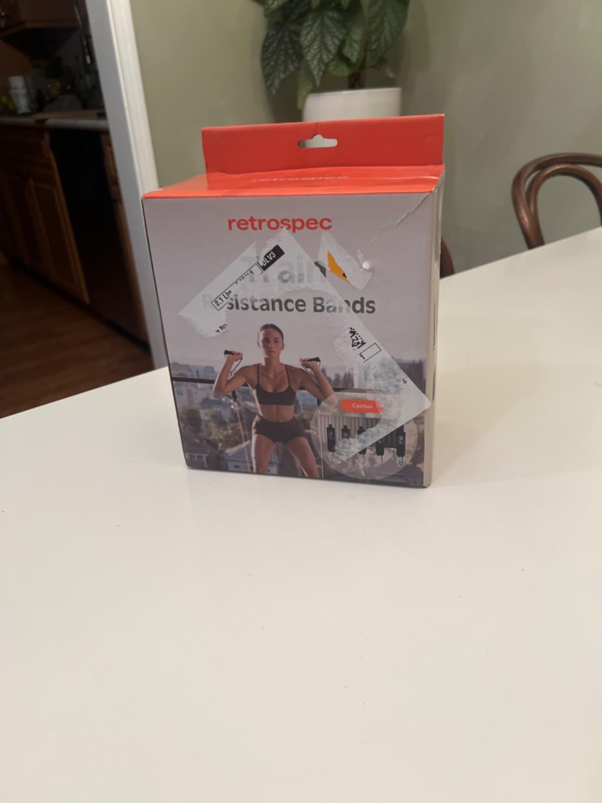 Retrospec Train Resistance Bands Set for Working Out - 5 Stackable Bands, Handles & Door Anchor - Portable Fitness Equipment for Physical Therapy & Yoga Includes Carry Bag customer photo 2