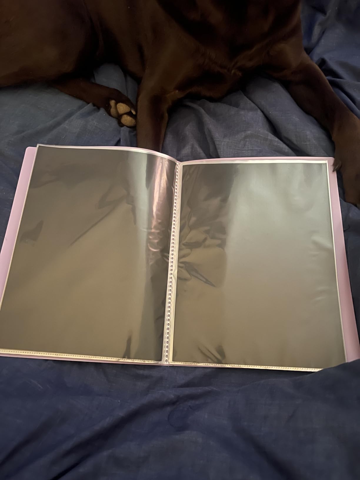 Sooez Art Portfolios 11