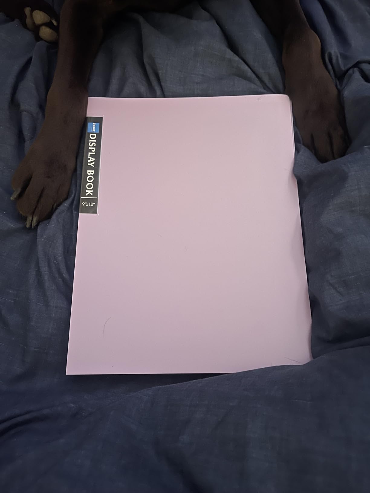 Sooez Art Portfolios 11