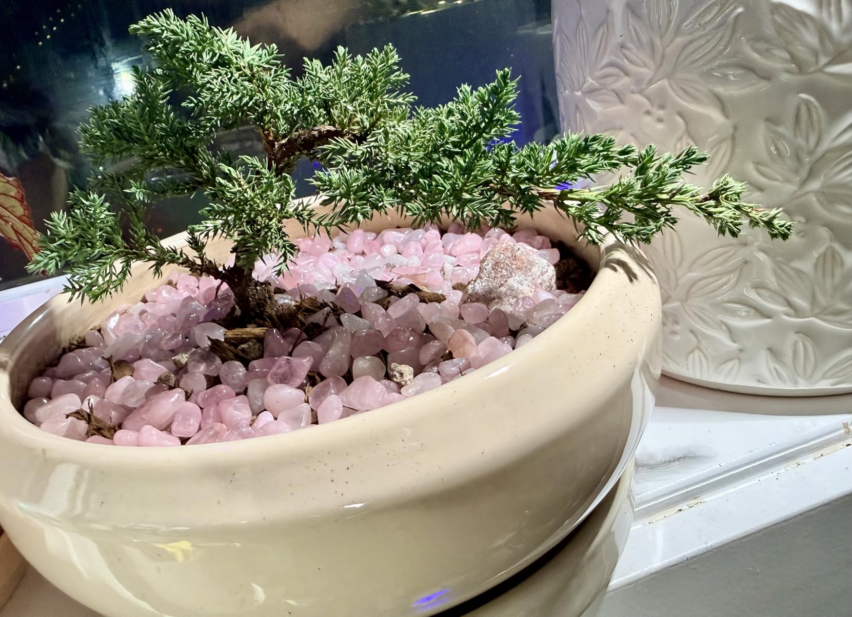 8 Inch Ceramic Bonsai Planter Pot, Glazed Shallow Succulent Planter with Drainage Hole and Bamboo Saucer for Indoor Plants, Brown customer photo 1