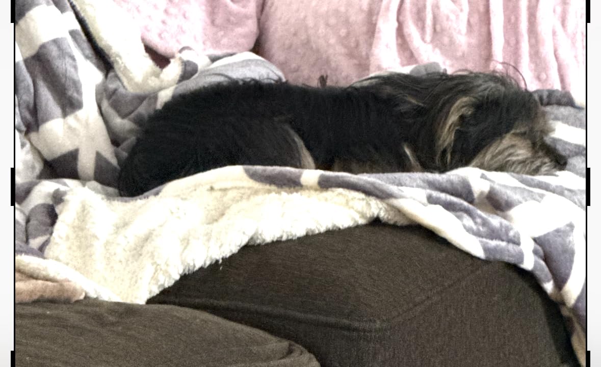 VENTIMI Electric Blanket Heated Throw, 50