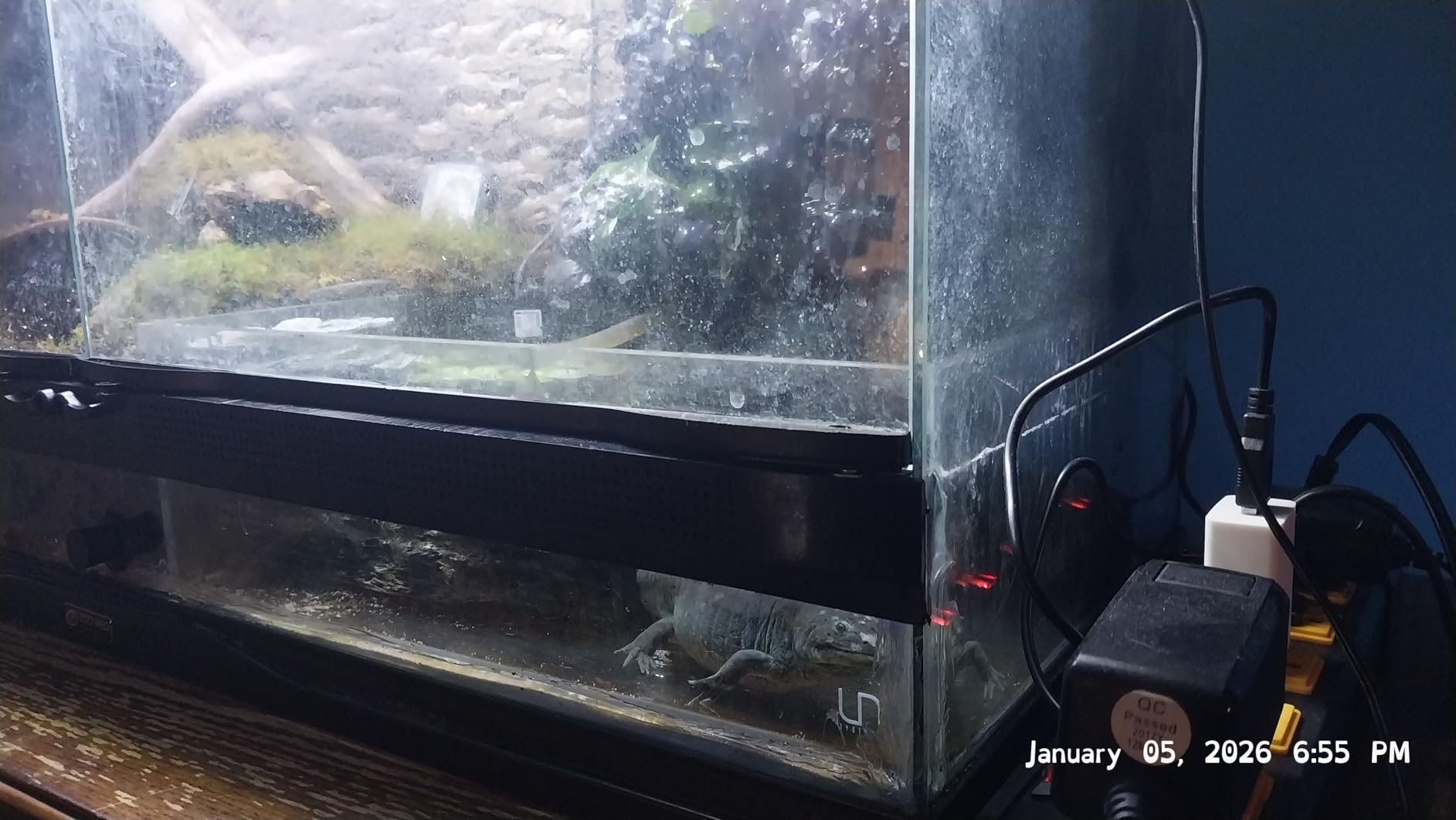 UNS Ultra Clear Rimless Tank - 3.4GAL | 13L - 17.71x6.69x6.69 | 45x17x17 CM, 5mm Glass Thickness, Leveling Mat Included - Low Iron, High Clarity Fish Tank w/ 45° Mitered Edge customer photo 2