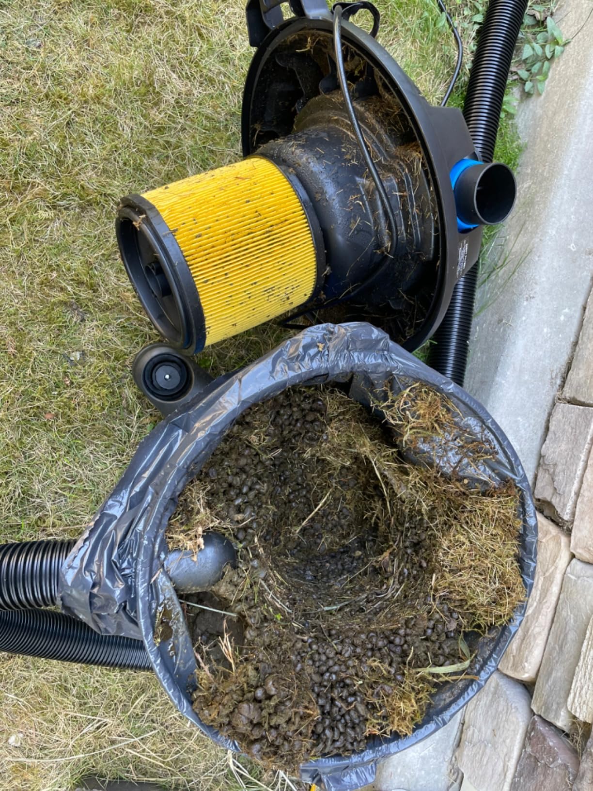 Vacmaster Wet/Dry Vacuum with Detachable Blower 6 Gallon 5 Peak HP-VBVB611PF 1101 customer photo 2