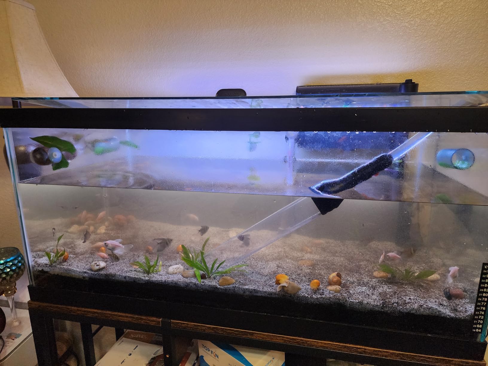 Gravel Vacuum for Aquarium Water Changer Fish Tank Cleaning Tools,Siphon Universal Quick Pump Aquarium Water Changing (30ft) customer photo 2