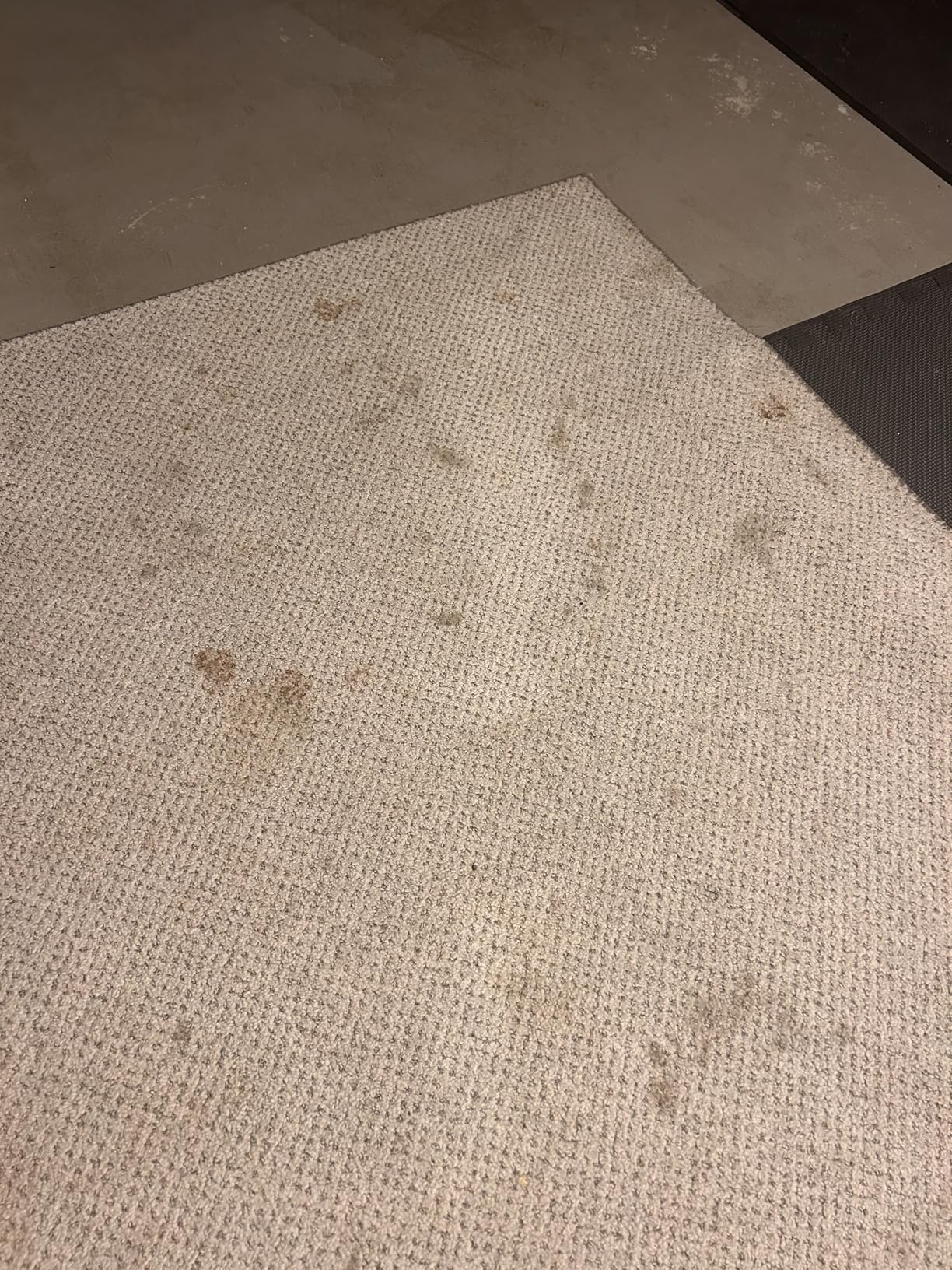 Hoover CleanSlate Plus Portable Carpet + Upholstery Spot Cleaner Machine, Powerful Suction with Versatile Tools, Pet Stain Remover, Car and Auto Detailer, Pair with Hoover Carpet Cleaner Solution customer photo 2