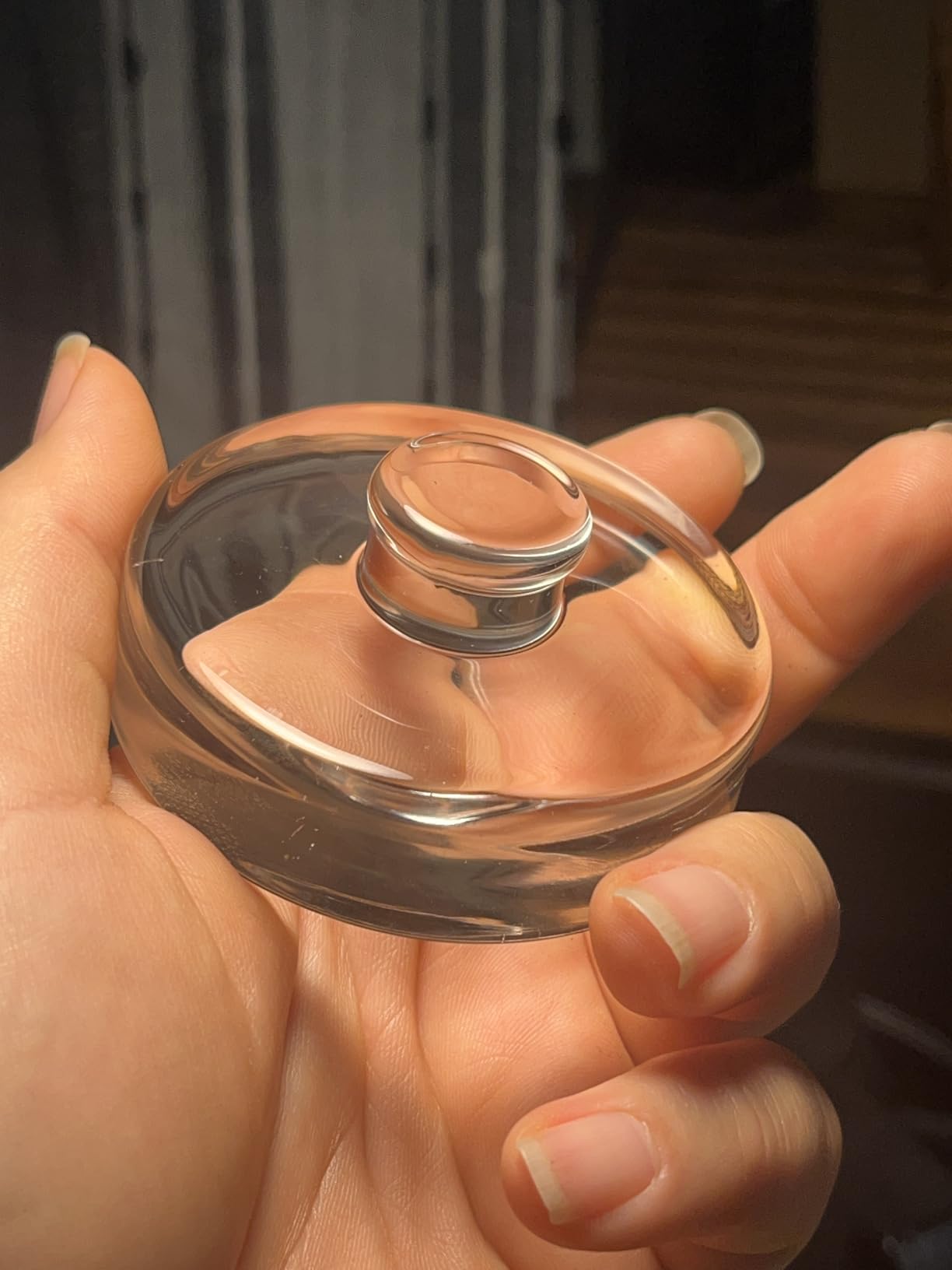 Eleganttime 4 Pack Easy Grip Handle Glass Fermentation Weights Great Mason Jar Wide Mouth Canning Fermenting Pickling Sourkrout Kraut Weight Fermentation Kit customer photo 1