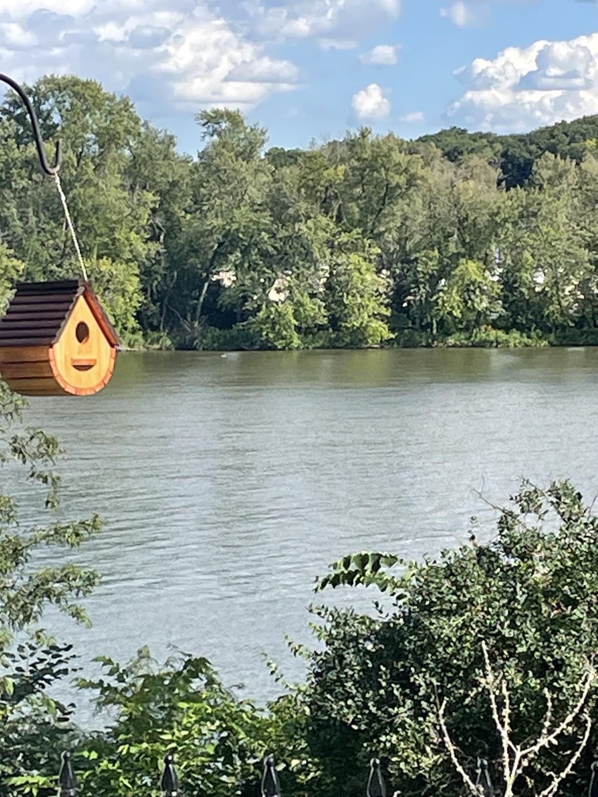STARSWR Bird House for Outside, Natural Wooden Bird House Clearance Bluebird Finch Cardinals Hanging Birdhouse for Garden Viewing customer photo 2