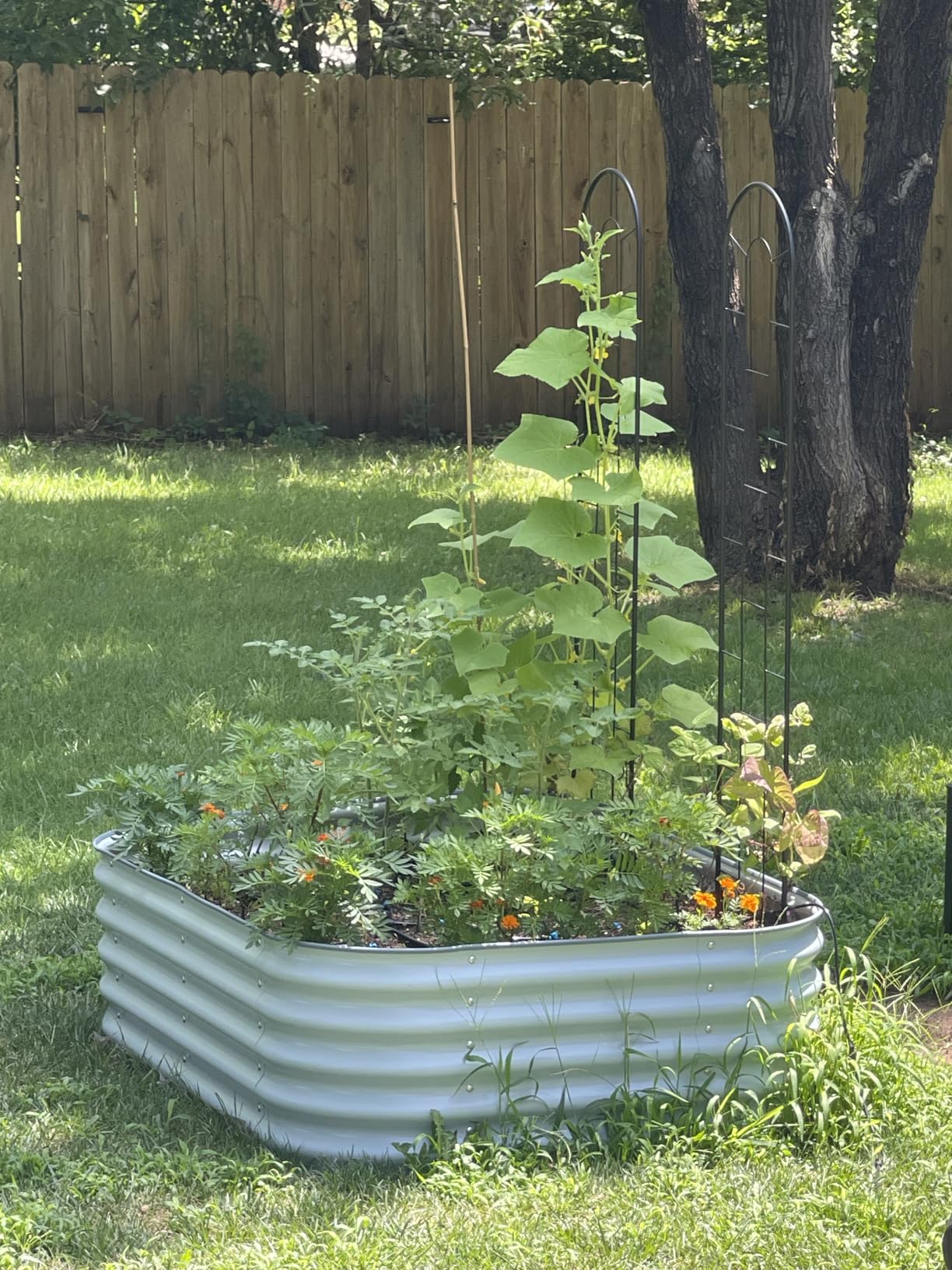 Vego garden Raised Garden Bed Kits, 17