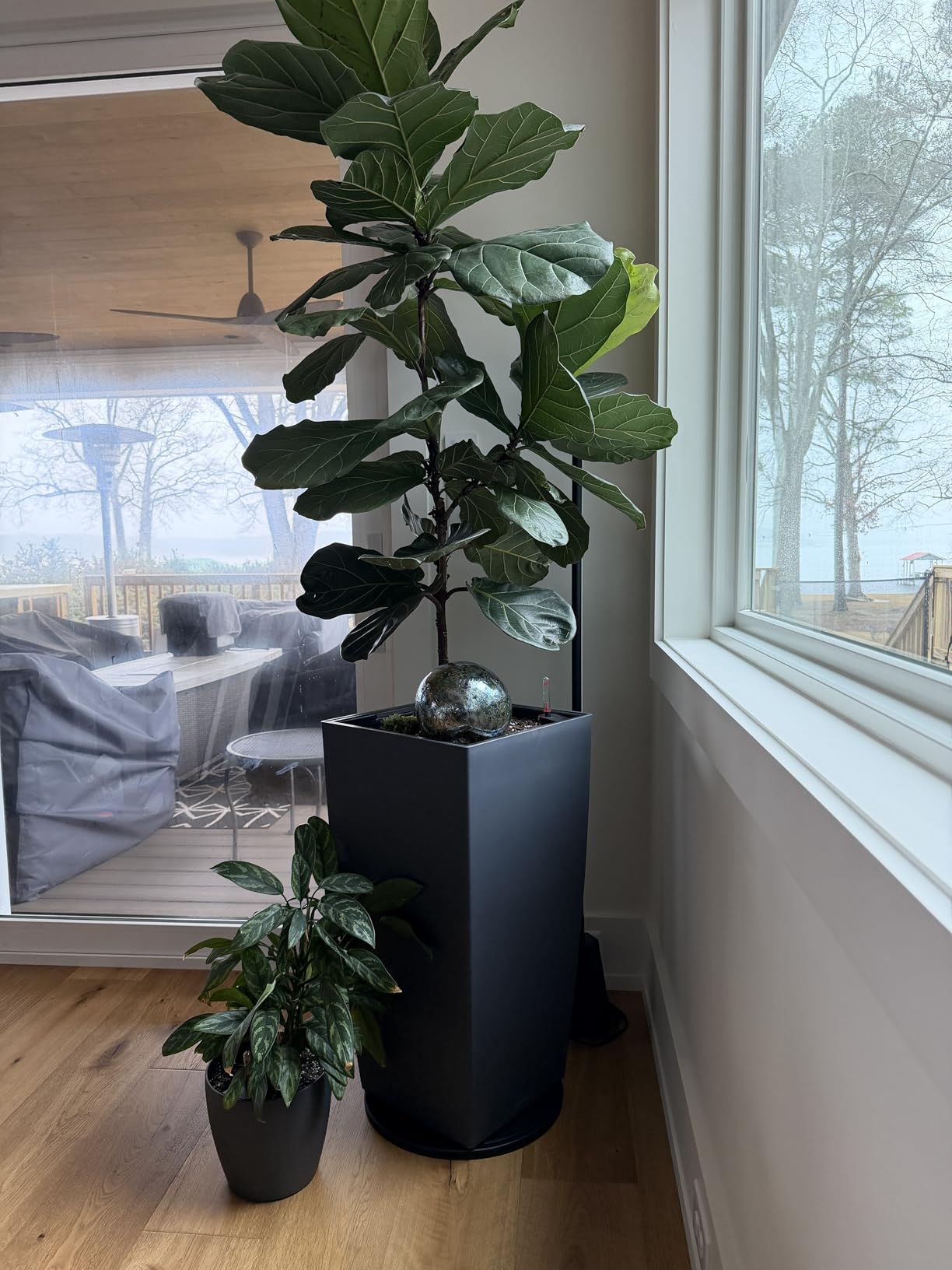 16Inch Lazy Susan Turntable - Heavy Duty Rotating Swivel Steel Ball Bearings - Flat Base Stand for TV/Computer/Monitor/Arts/Crafts/Bonsai/Christmas Tree/Cabinet Organizer(Plastic&Black) customer photo 2