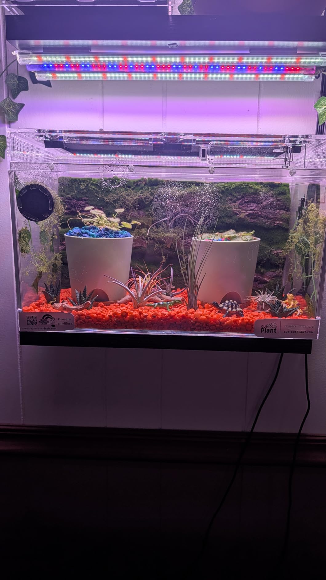 Reptile Terrarium,16