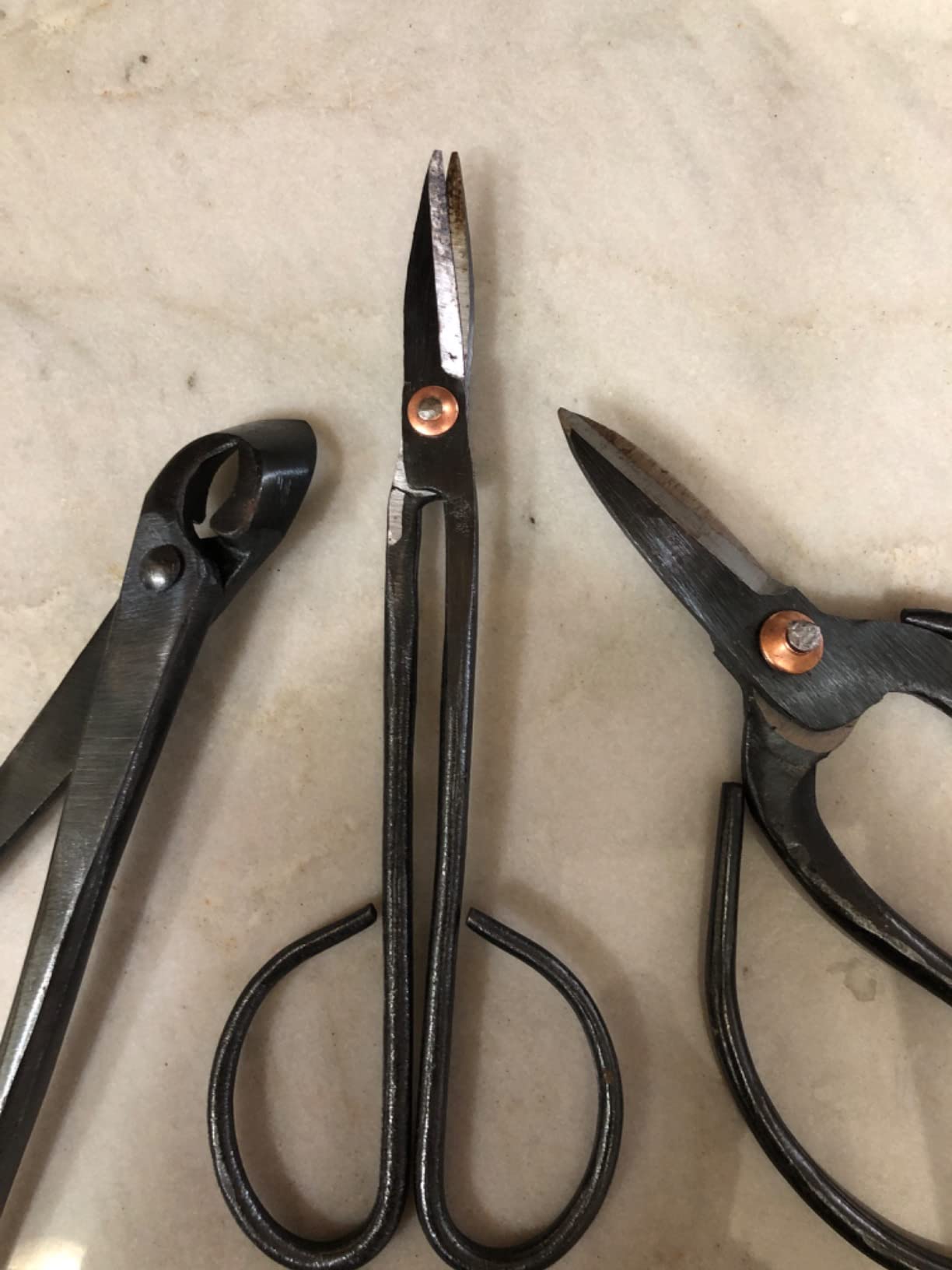 Bonsai Tools Set with Wood Box 12PCS Heavy Duty Bonsai Tree Kit, Trimming Scissor Shears, Concave Cutter, Wire Rolls, Wire Cutter and More, Gardening Pruning & Care Kit customer photo 1