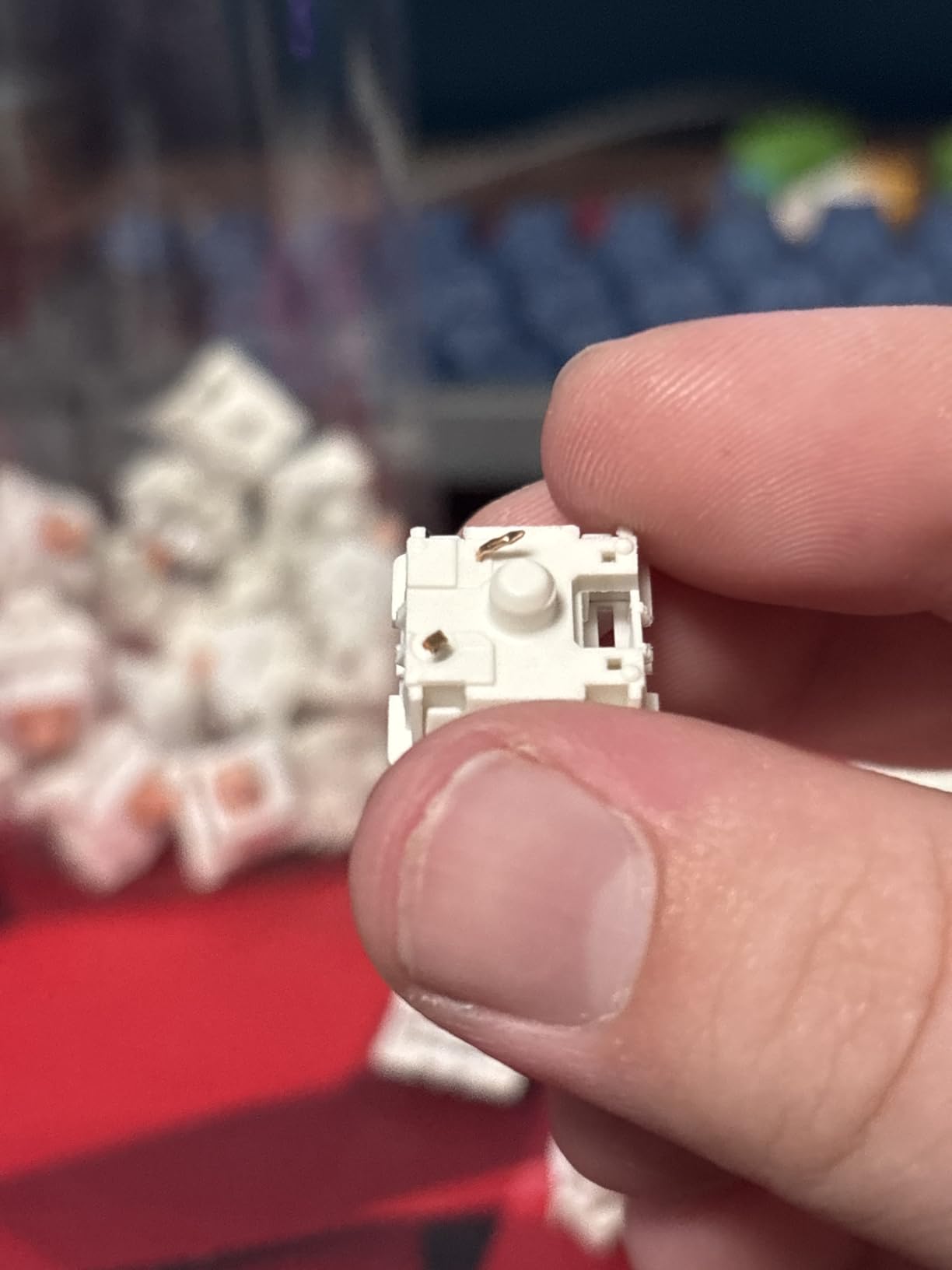 Holy Panda Mechanical Keyboard Switch, 3Pin Pre Lubed, 67g Extended Spring, Enhance Tactile Plate Mounted MX Switch(100 Pack) customer photo 2