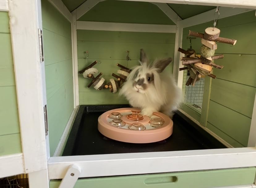 kathson Bunny Enrichment Toys Rabbit Foraging Toy Small Animal Treat Dispenser Hamster Puzzle Feeder Guinea Pig Interactive Toys Mental Stimulation for Ferret Chinchila Cat Dog customer photo 1