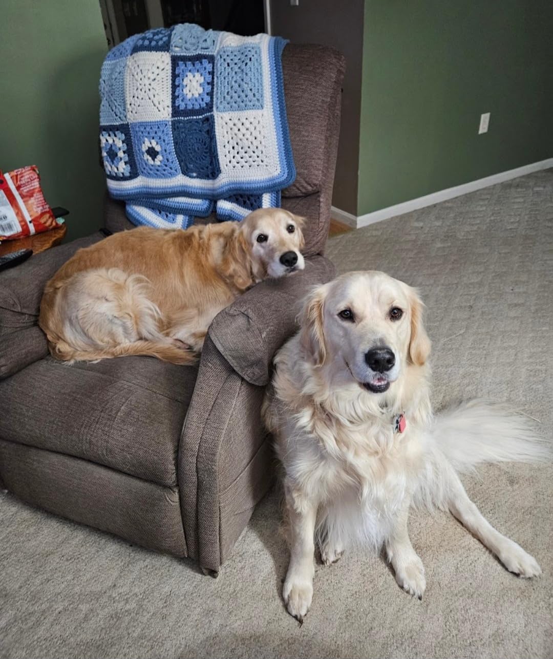 BLACK+DECKER POWERSERIES 20V MAX Cordless Stick Vacuum Cleaner, Household Vacuum Cleaners for Hardwood Floors and Carpet, LED Lights, Detachable, Anti-Tangle, Lightweight, Bagless (BHFEA18D1) customer photo 1