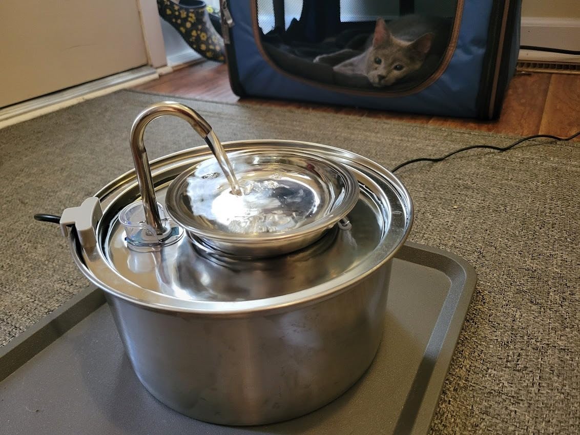 Tomxcute Cat Water Fountain, 3.2L/108oz Automatic Stainless Steel Pet Fountain Dog Water Dispenser, Ultra-Quiet Pump and 3 Replacement Filters & for Cats, Dogs, Multiple Pets customer photo 1