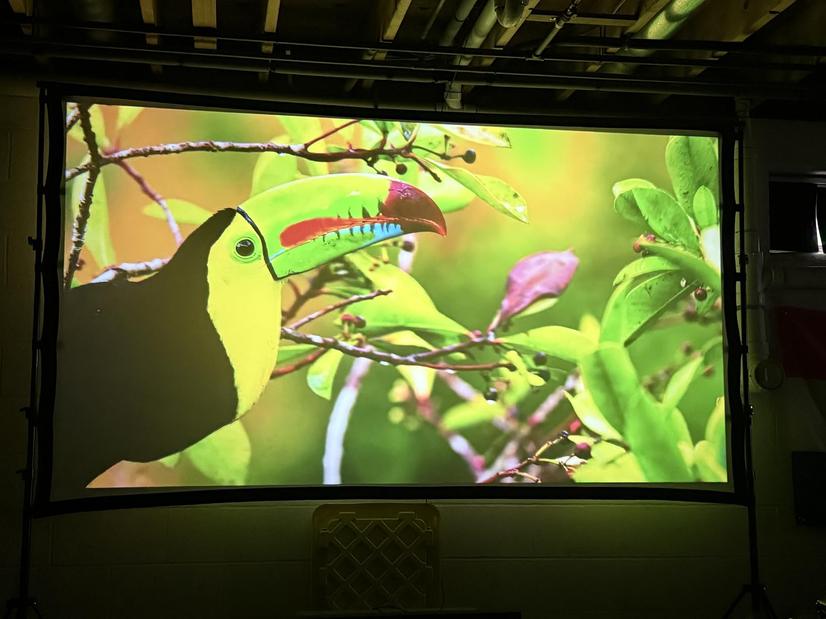 TOWOND Projector Screen and Stand, 150 inch Indoor Outdoor Projection Screen, Portable 16:9 4K HD Rear Front Movie Screen with Carry Bag Wrinkle-Free Design for Home Theater Backyard Cinema customer photo 1