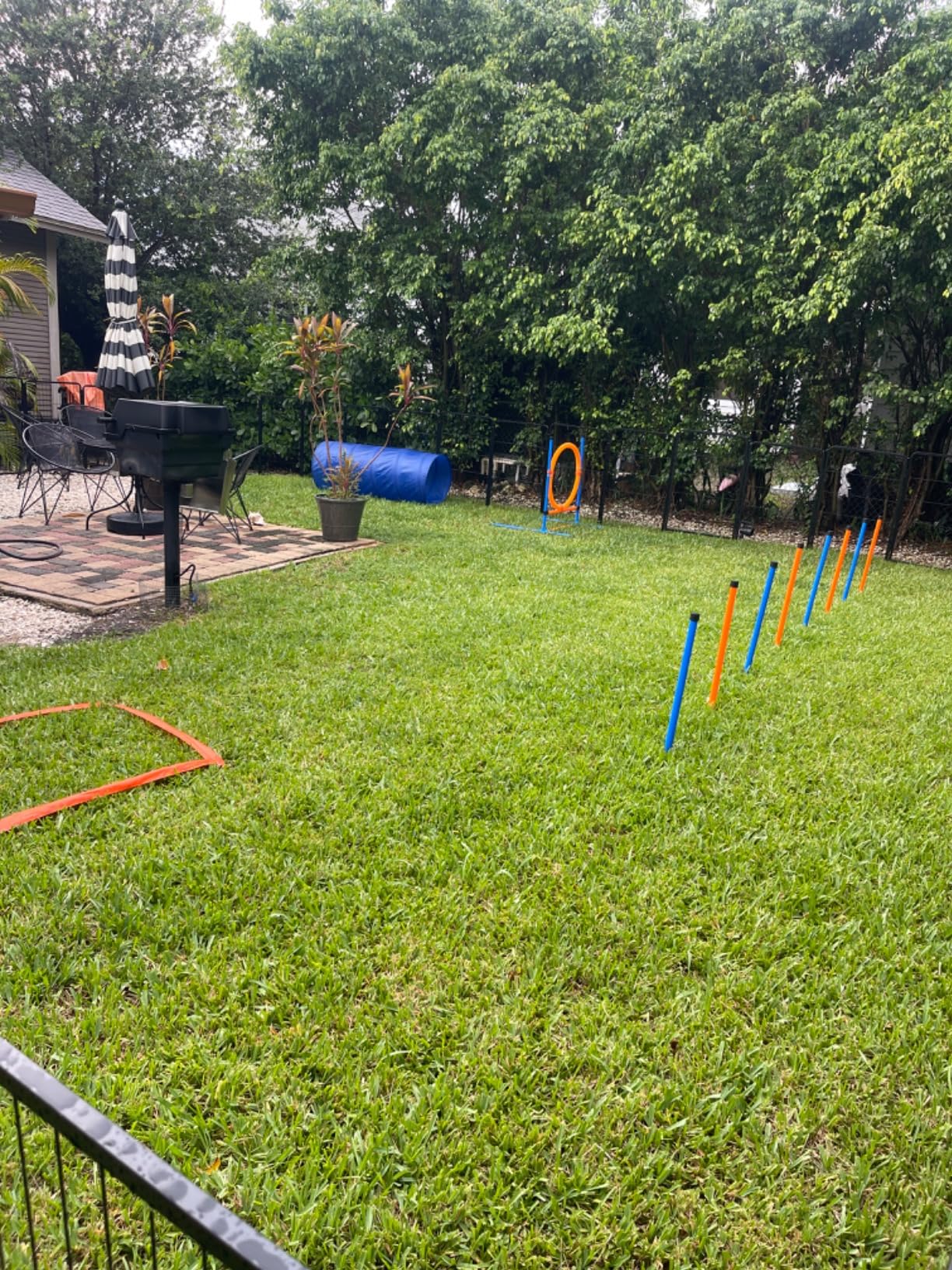 Dog Agility Training Equipment, 60-Piece Dog Obstacle Course Training Starter Kit Pet Outdoor Game with Tunnel, Agility Hurdle, Weave Poles, Jump Ring, Pause Box, Toy Balls and Storage Bag customer photo 1