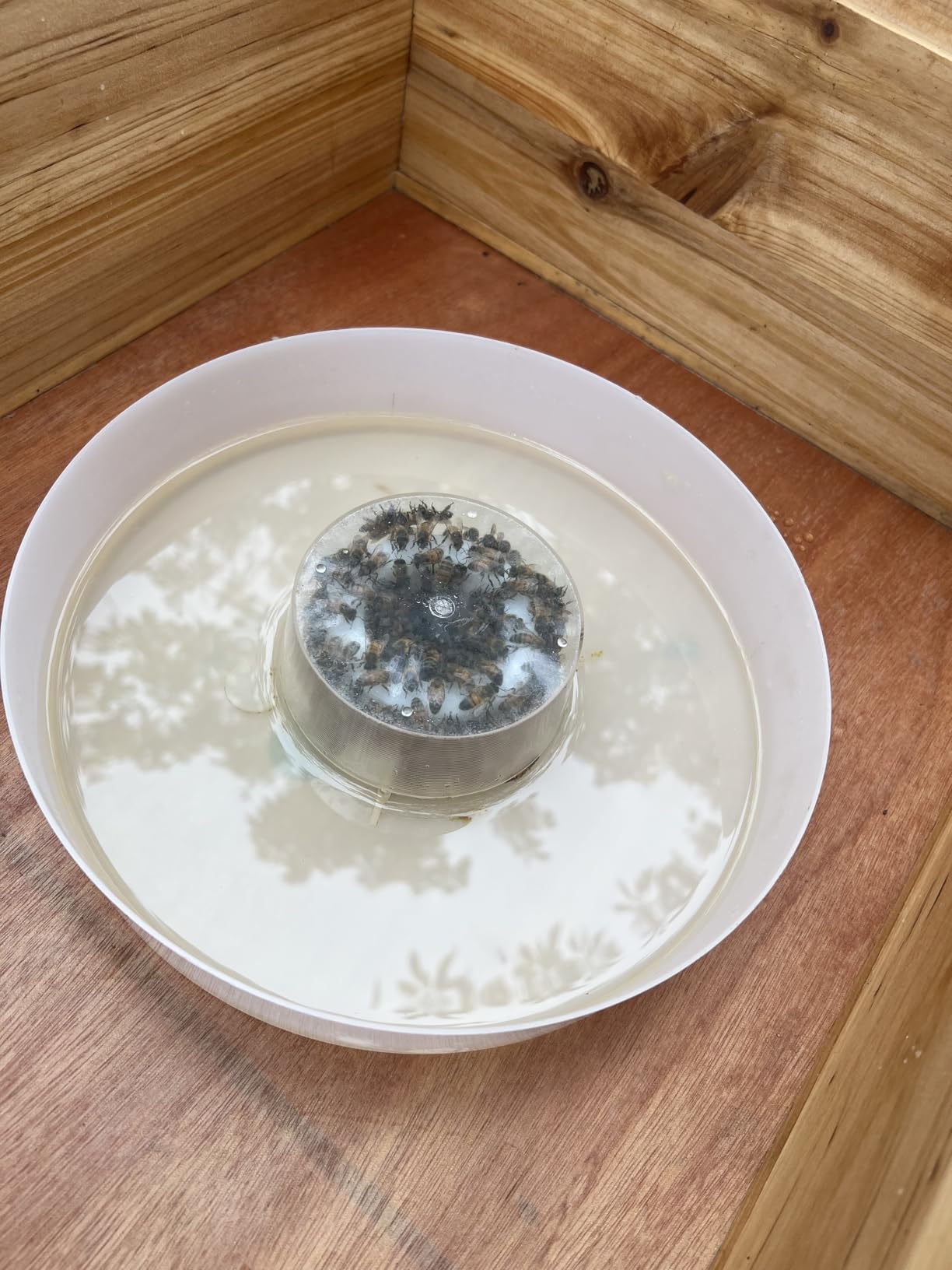 AukBeeFun Round Rapid Feeders Hive Top Rapid Bee Feeder White Honey Bees Feeders Beekeeping Feeding Equipment customer photo 1