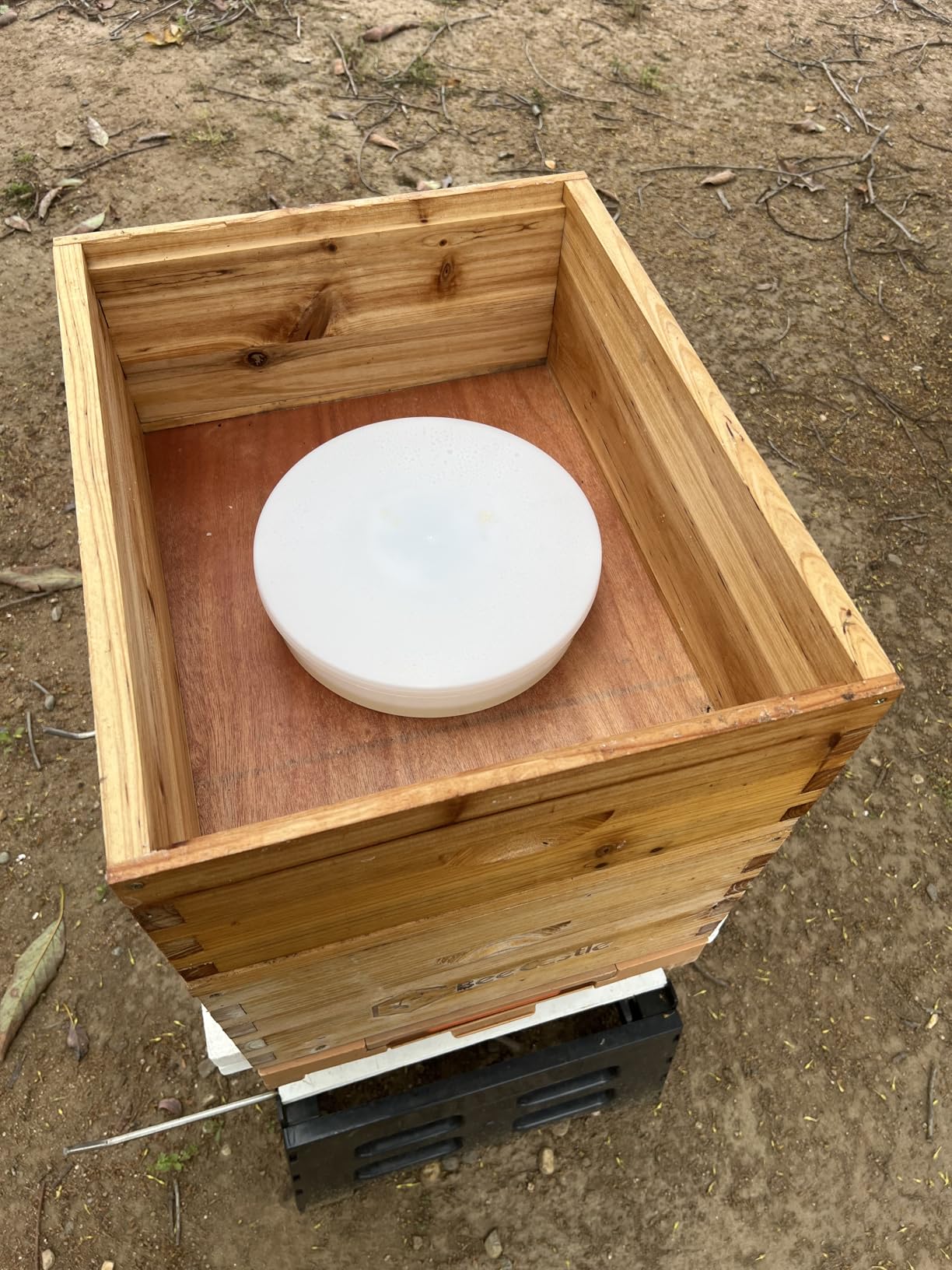 AukBeeFun Round Rapid Feeders Hive Top Rapid Bee Feeder White Honey Bees Feeders Beekeeping Feeding Equipment customer photo 2