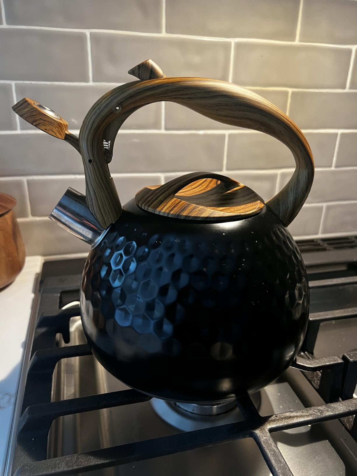 GGC Tea Kettle for Stove Top, Loud Whistling Kettle for Boiling Water Coffee or Milk, 3.1 Quart 3L Heavy Stainless Steel Black Kettle with Wood Pattern Handle, Unique Button Control Kettle Outlet customer photo 1