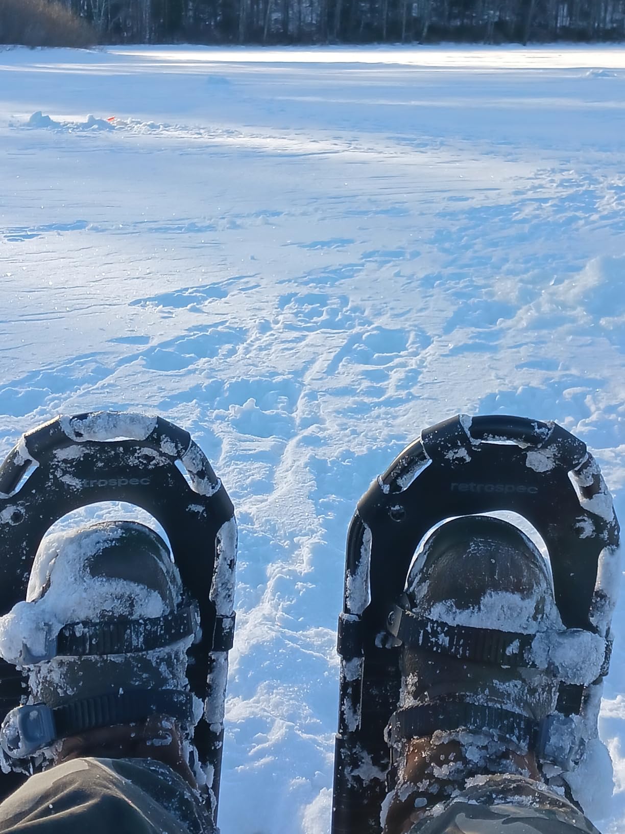 Retrospec Drifter Snowshoes for Women & Men - Lightweight Aluminum Frame Snow Shoes with Double Ratchet Binding System, Heel Lifts & Carry Bag for All Terrain Hiking & Winter Sports customer photo 1