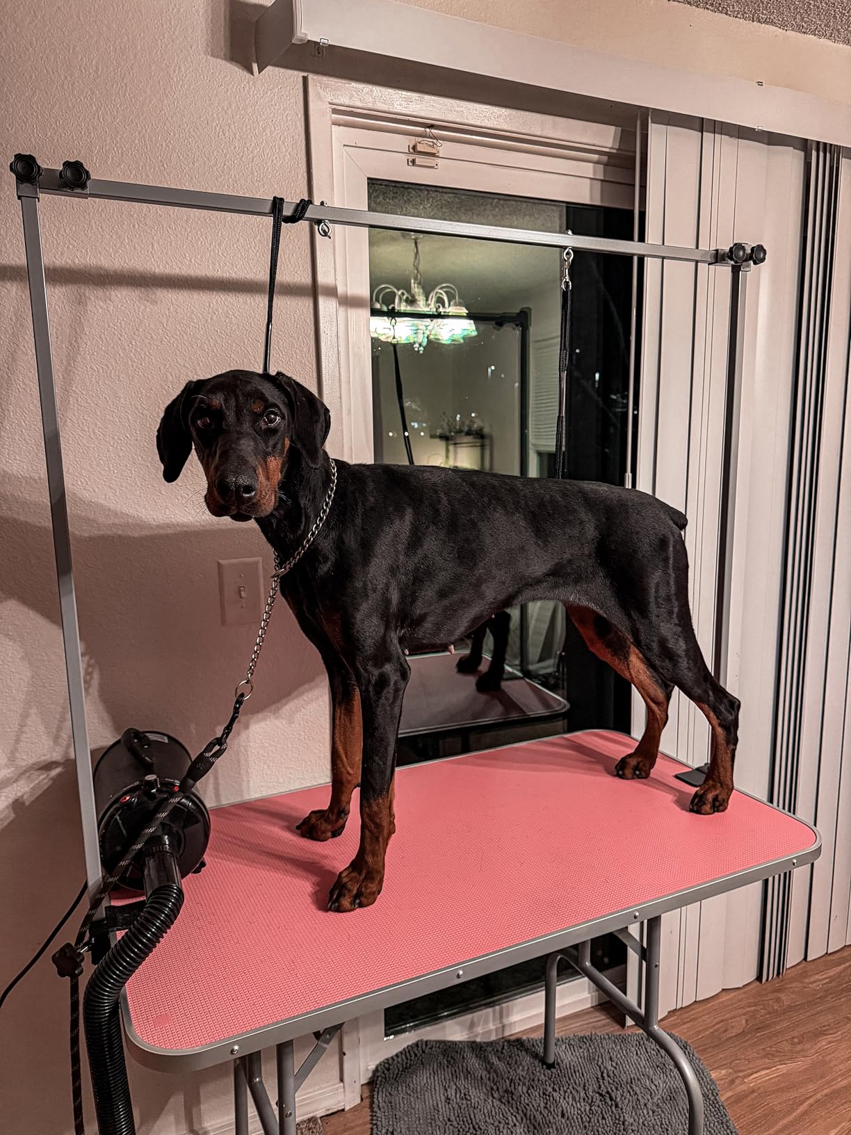 Yaheetech 46'' Pet Grooming Table for Large Dogs Adjustable Height - Portable Trimming Table Drying Table w/Arm/Noose/Mesh Tray Maximum Capacity Up to 265Lb -Pink customer photo 2