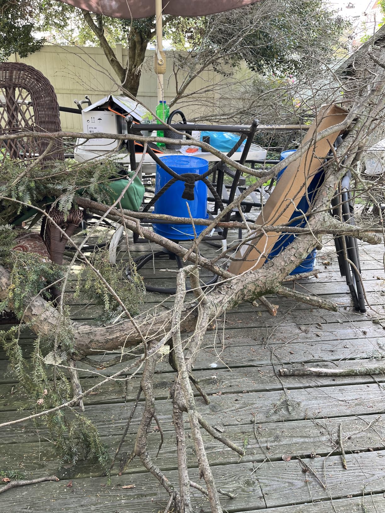 27 Feet Tree Pole Pruner Manual Branches Trimmer Tree Branch Garden Tools Loppers Hand Pole Saws Extendable Height customer photo 1