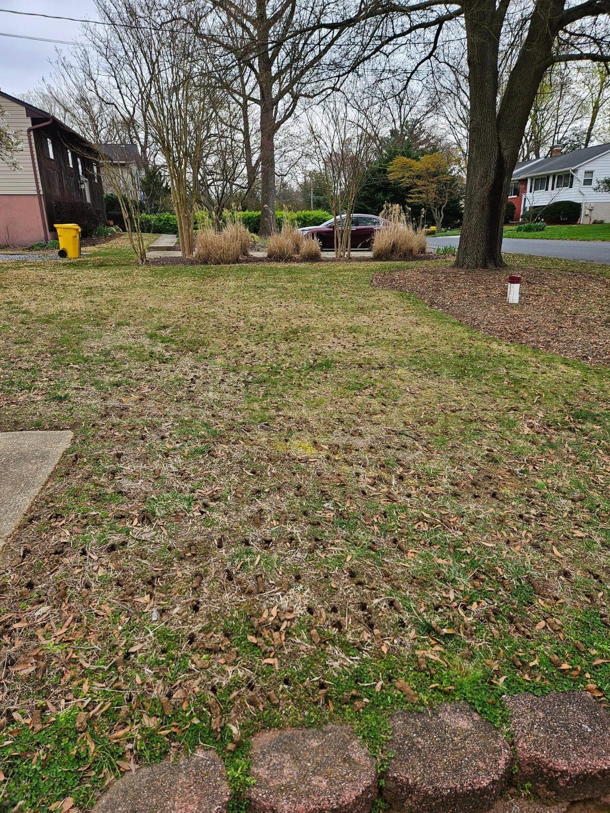 The Original Hollow Tine Lawn Aerator Tool - 42 Inch Core Aerator and Grass Aeration Tool Lawn Tools - Stainless Steel Manual Lawn Aerator Plug Aerator and Aerator Lawn Tool customer photo 1