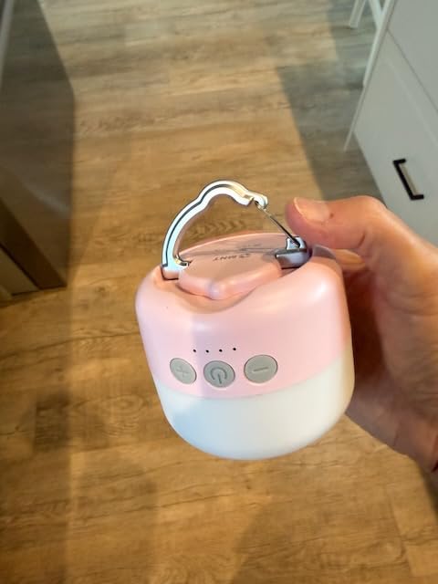 LED Camping Lantern Rechargeable 1000LM, Up to 300H Running Time Camping Tent Light, 6700mAh Emergency Hanging Light for Hurricane, Power Outages, Home, Hiking, Water-Resistant, Black customer photo 2