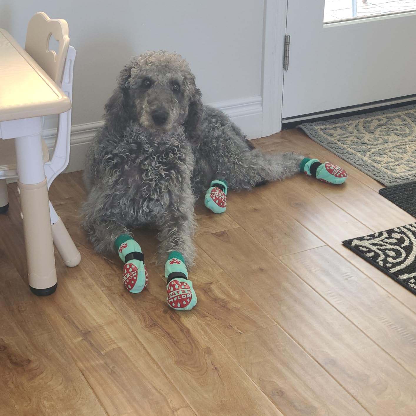 BEAUTYZOO Anti-Slip Dog Socks,Dog Shoes for Hot/Cold Pavement,Paw Protectors with Grips 3 Pairs for Puppy Small Medium Large Senior Old Dogs,Dog Socks to Prevent Licking and Hardwood Floor Protection customer photo 1