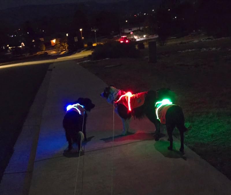 Noxgear LightHound - Revolutionary Illuminated and Reflective Harness for Dogs Including Multicolored LED Fiber Optics (USB Rechargeable, Adjustable, Lightweight, Rainproof) (Large) customer photo 2
