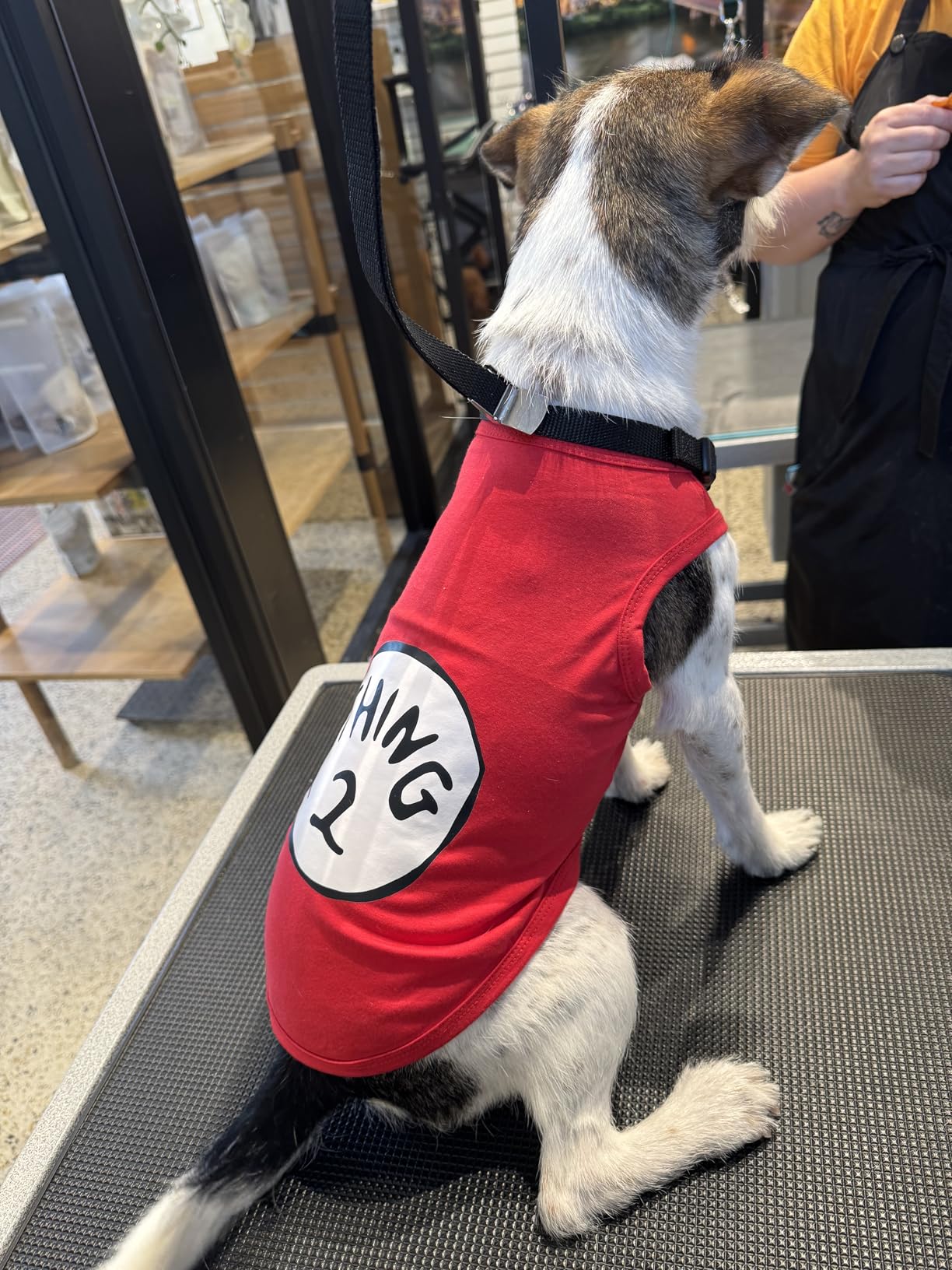 Max Potency Hemp Oil for Dogs & Cats - Help Anxiety Stress Pain Inflammation Arthritis Aggressive Relax Sleep Allergies Seizures Relief - Treats Chews Joint & Hip - Organic Pet Calming Drops - Non-GMO customer photo 1