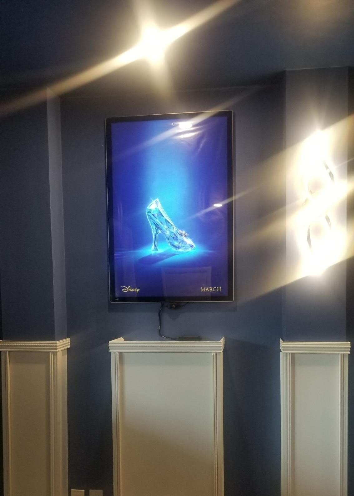 E-Hangsam 27x40 Inch LED Poster Frame - Wall-Mounted Lighted Movie Poster Frame with Dimmer On/Off Switch, Perfect for Displaying LED Posters and Lighted Movie Posters customer photo 1