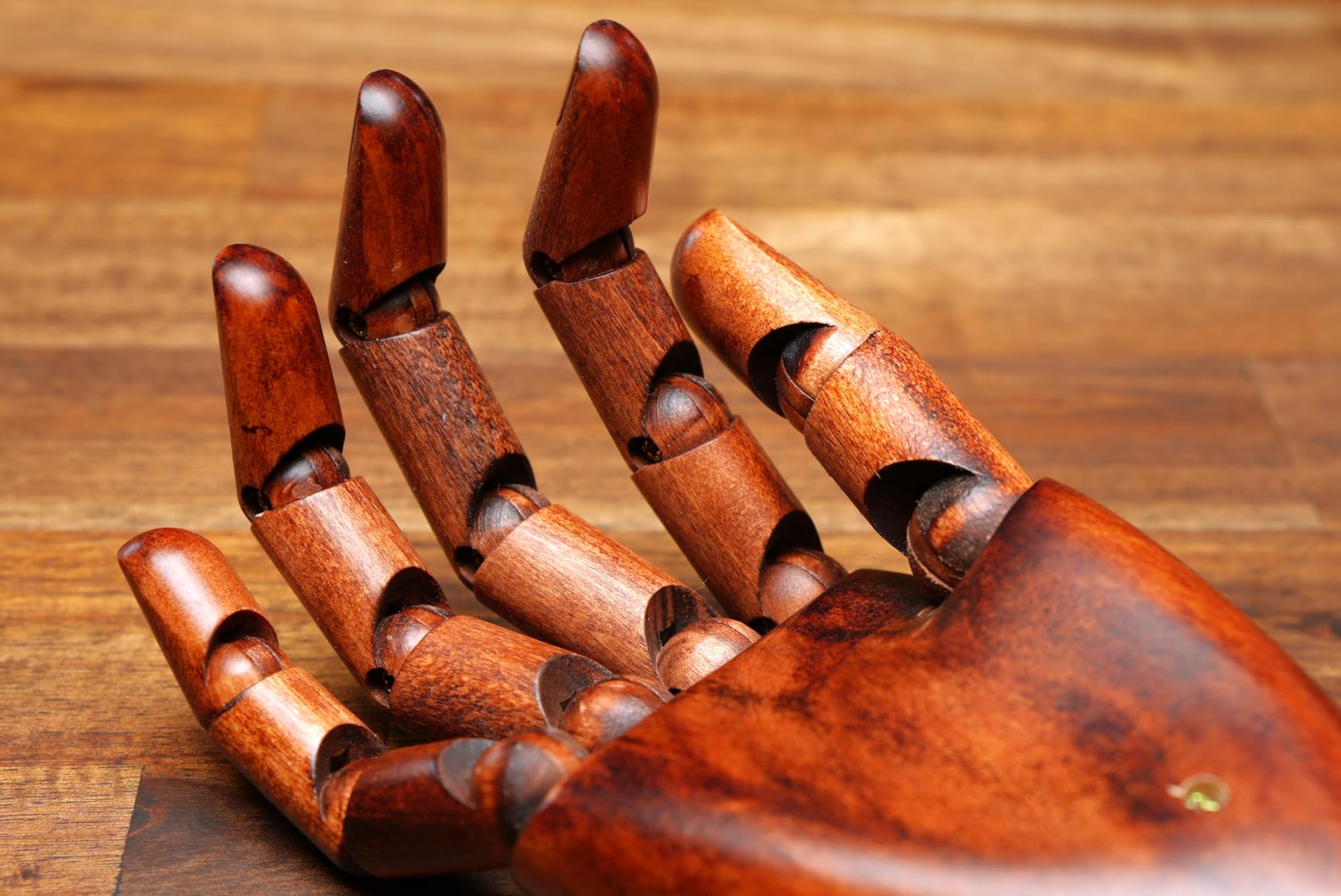 Wooden Hand Model for Artists, Articulated Mannequin Left Hand Figure, 10.2-inch Flexible Fingers Jewelry Holder for Sketch Art, Drawing, and Display customer photo 1