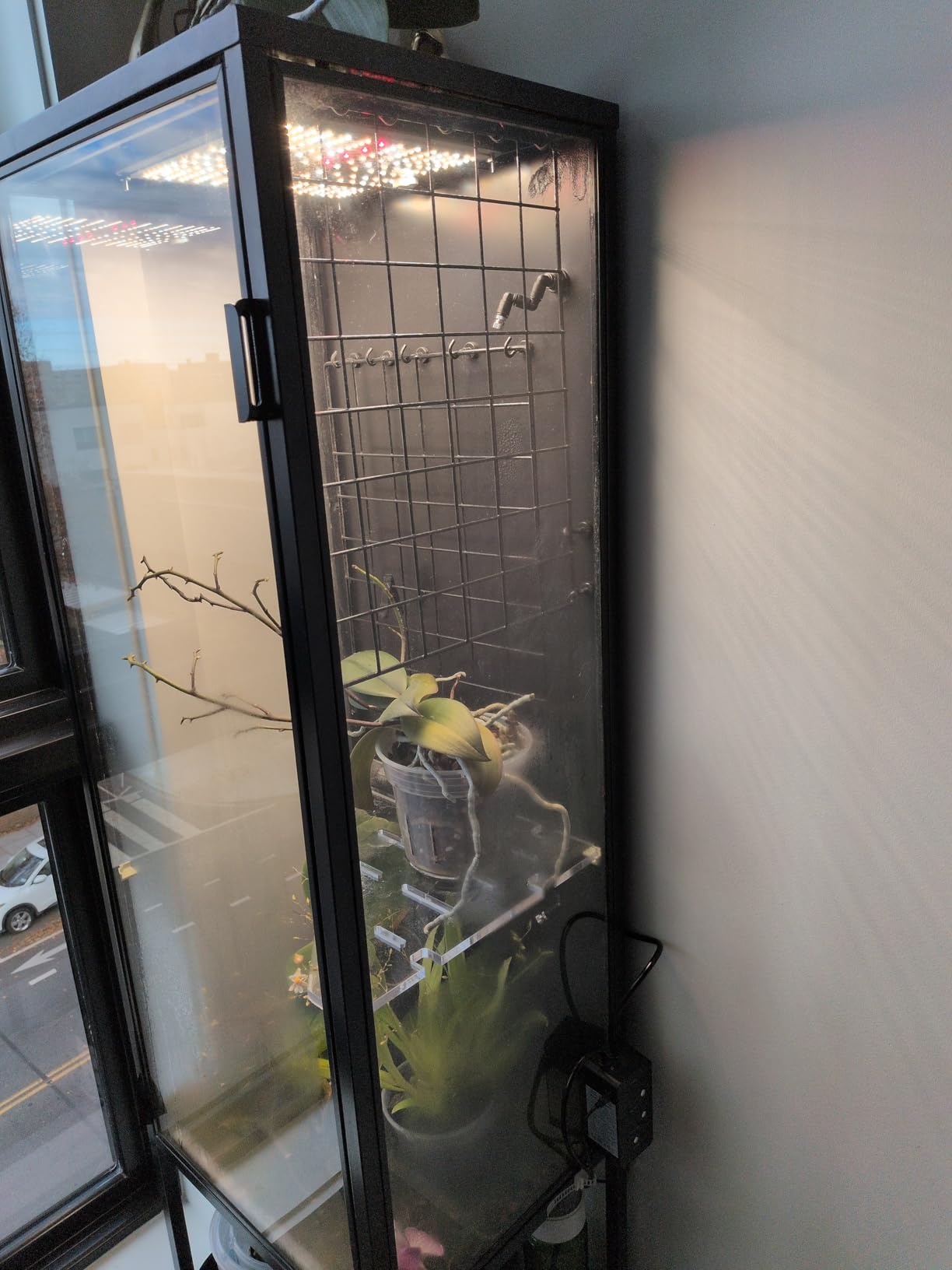 moistenland Reptile Humidifier, Misting System for Terrariums, Automatic with Adjustable Spray Nozzles, Black customer photo 1