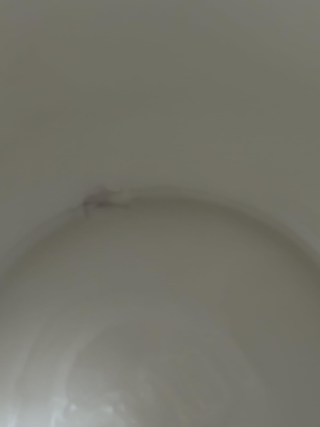 TOMO Fermentation Crock with Weights - Ceramic Sauerkraut Pickling Crock - Stoneware Kombucha Brewing (7L) customer photo 1