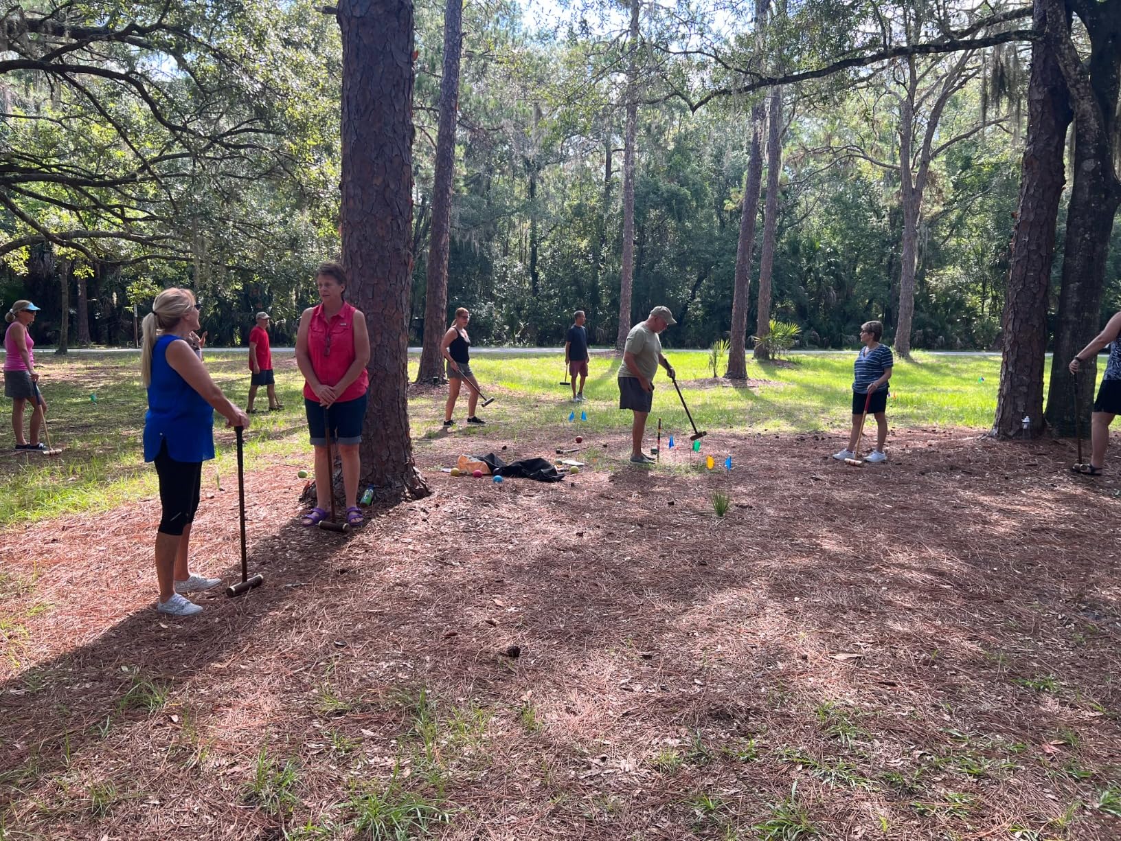 Six Player Croquet Game, 35'' Croquette Set with Premium Wooden Mallets/Colored Balls/Wickets/Stakes/Carrying Bag, Classic Outdoor Backyard Lawn Games for Teens Adults Family customer photo 1