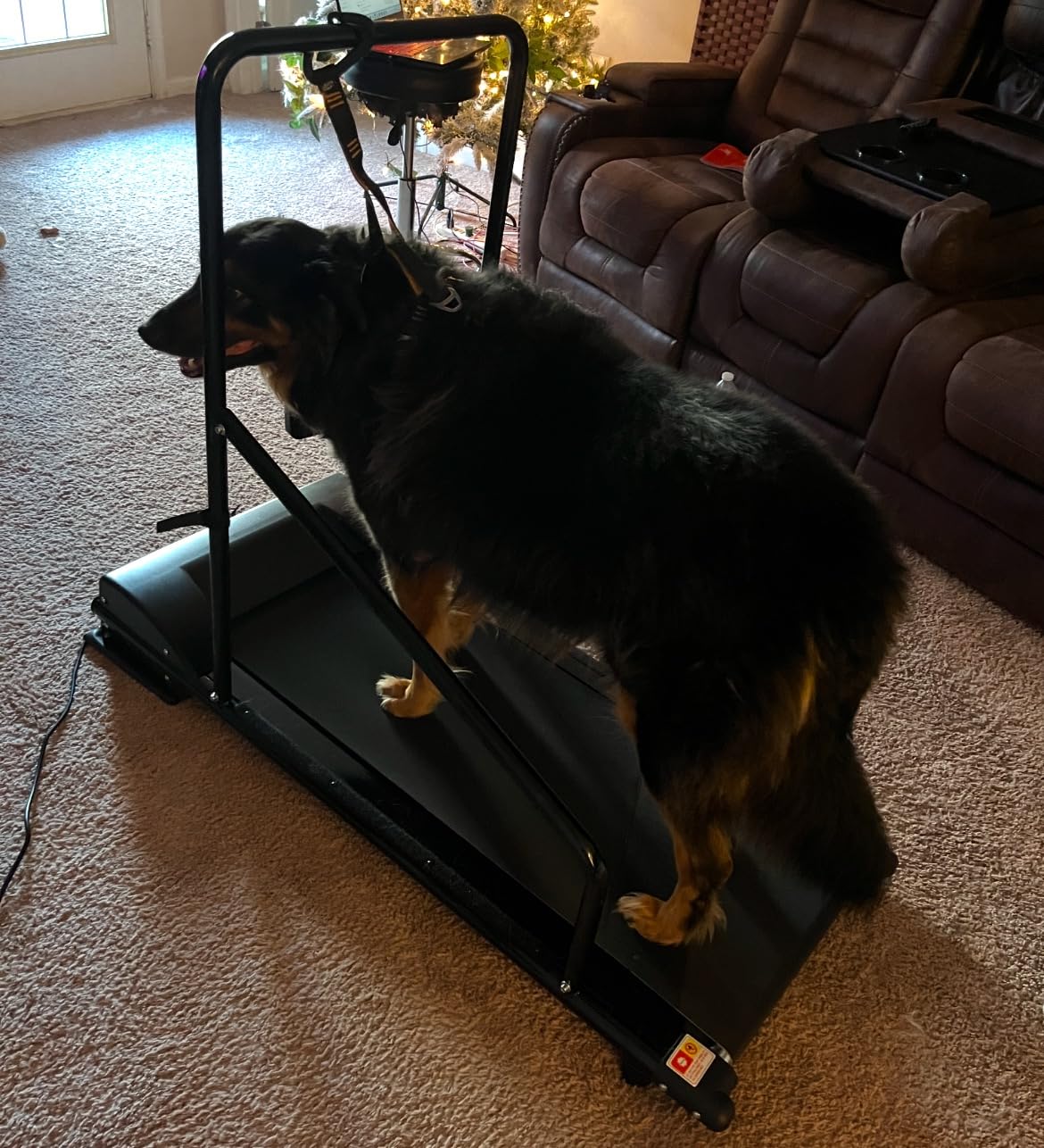 Lifepro PawRunner Dog Treadmill for Small & Medium Dogs, Pet Treadmill for Dogs up to 130lbs, Indoor Running Machine for Fitness, Compact & Durable Pacer Treadmill for Health and Exercise customer photo 1
