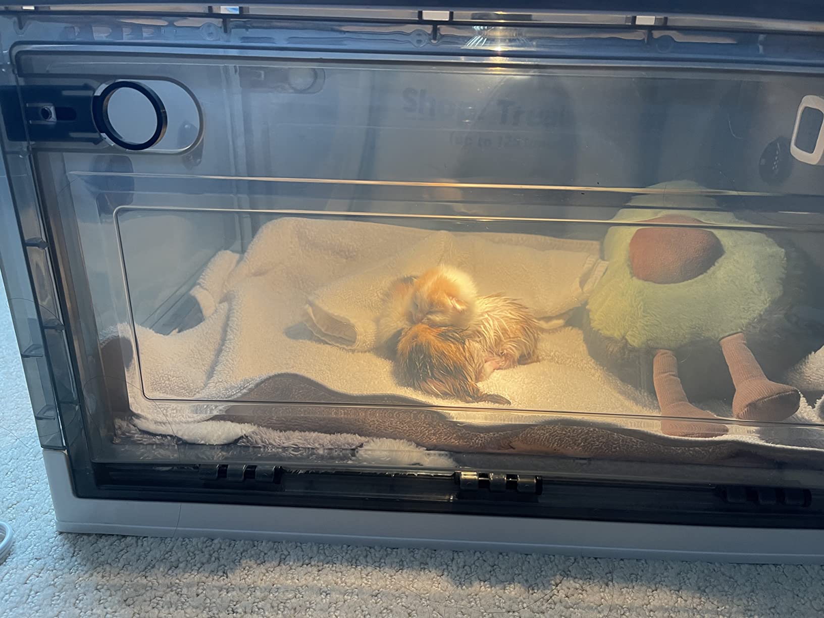 Pet Oxygen Chamber, Puppy Incubator for Newborn Puppy and Kitten, Nebulized Oxygen Critical Care Unit for Dog and Cat, with Kitten Bottle Feeding Kit and Pet Warming Lamp, Thermometer and Cotton Pad customer photo 2