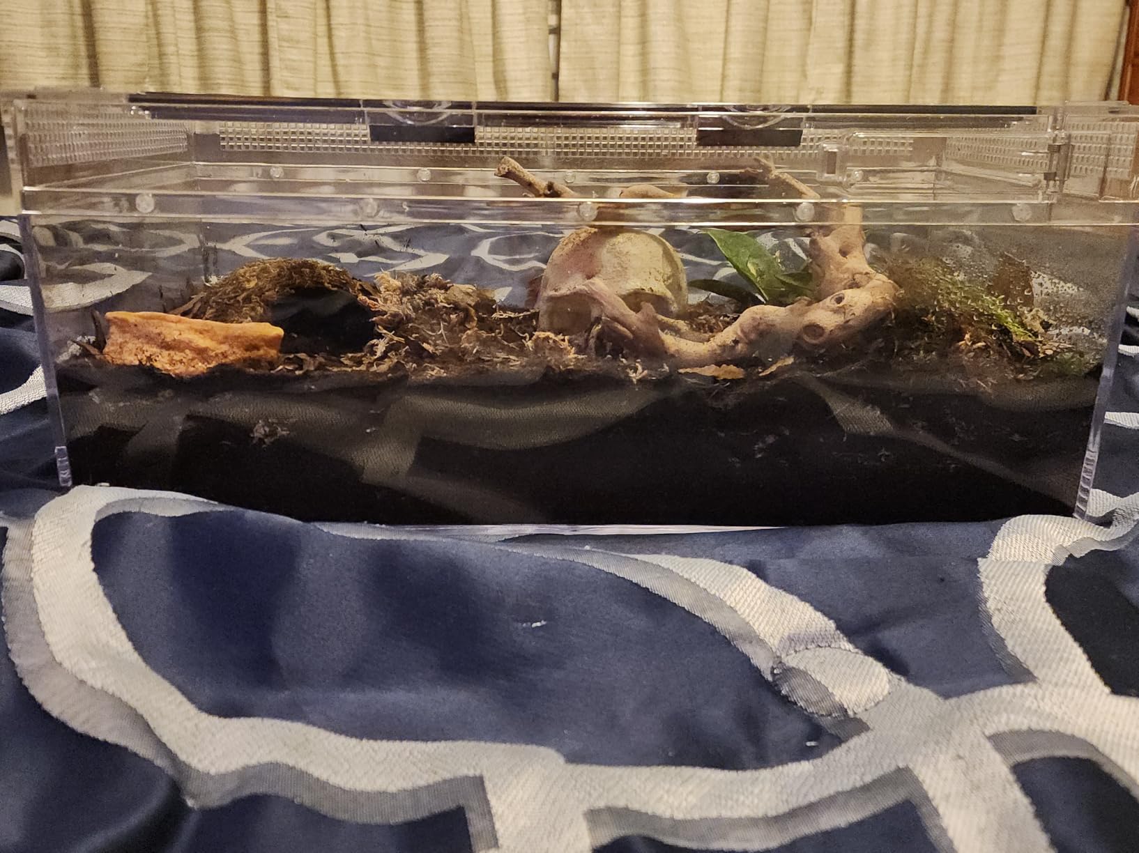 Reptile Terrarium,10 Gallon Reptile Tank 20