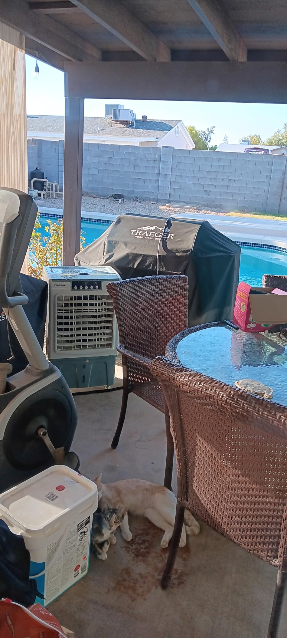 VAGKRI Swamp Cooler, 2100CFM Evaporative Air Cooler with 3 Modes & Wind Speeds, 120°Oscillation, 24H Timer, Portable Outdoor Air Conditioner with Auto Fill for Patio Garage Commercial Use, 8 Gallon customer photo 1